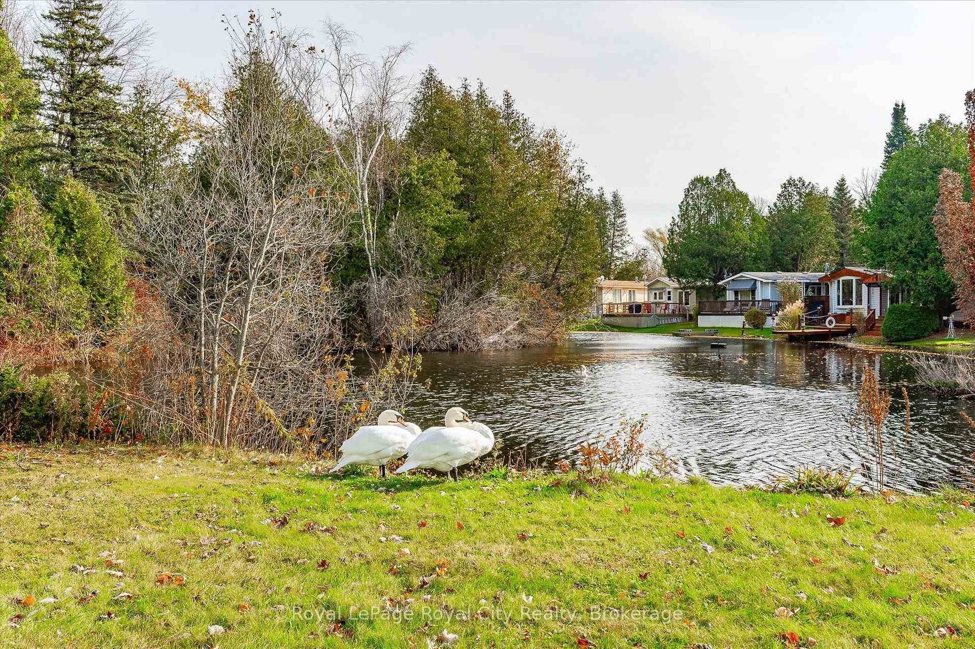 10 Spruce Avenue photo 34