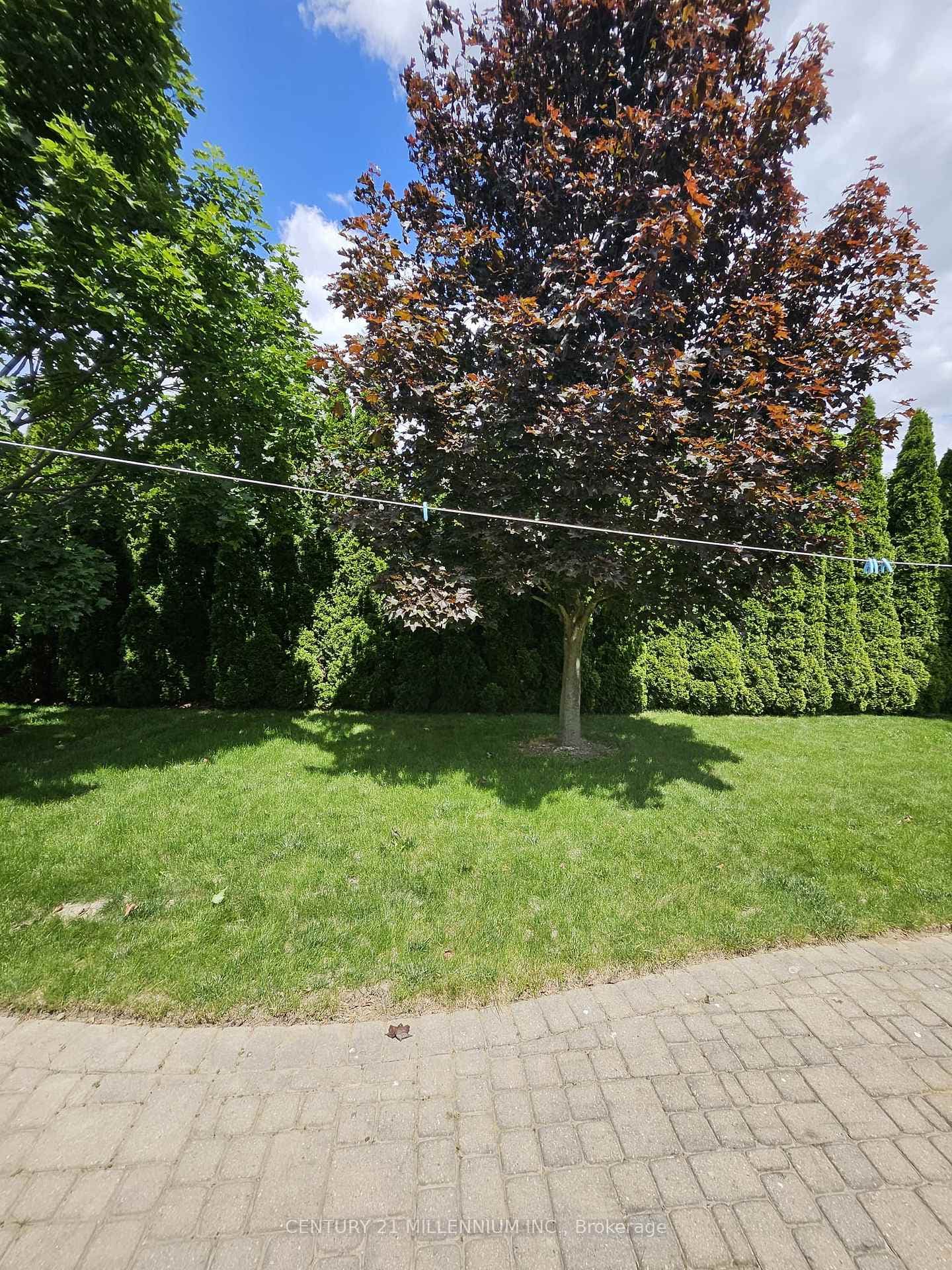 413 Keil Trail photo 45