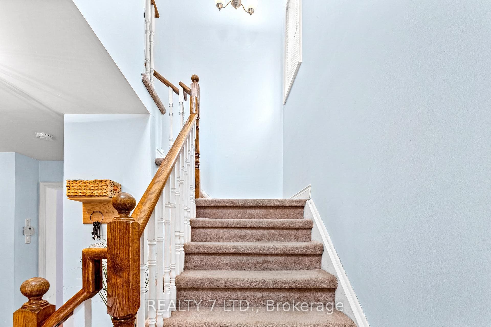 73 Bird Street photo 17