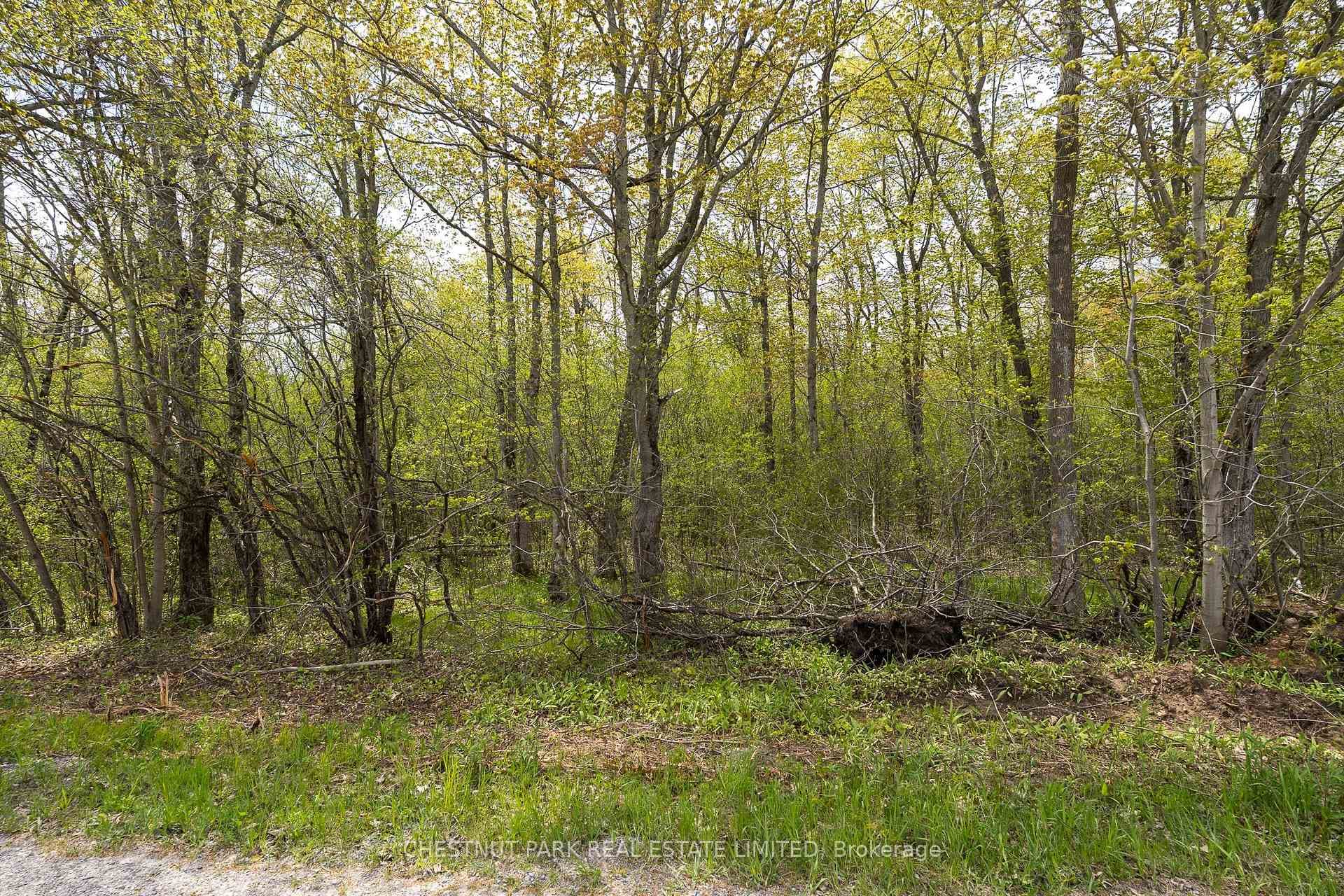 206 Simpson Road photo 14