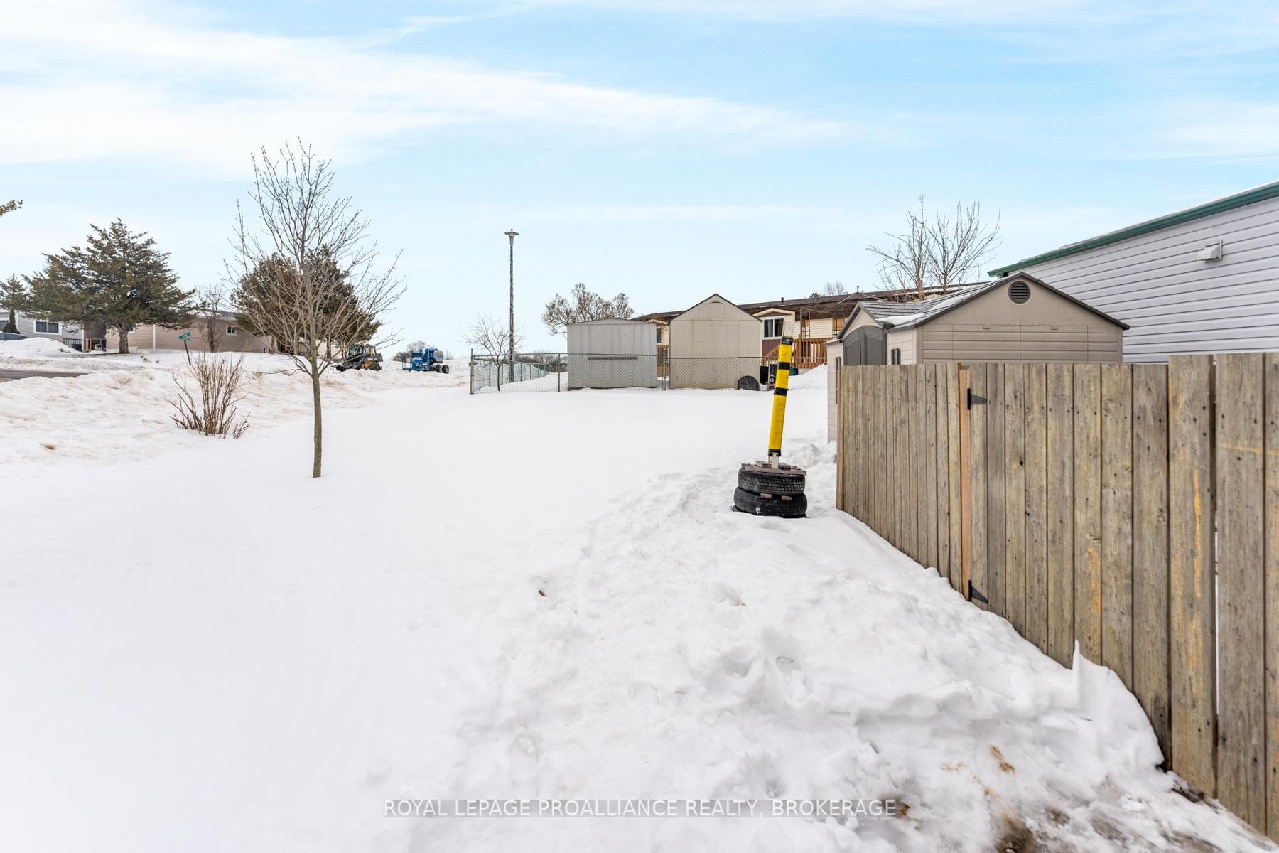 Big Yard to Play