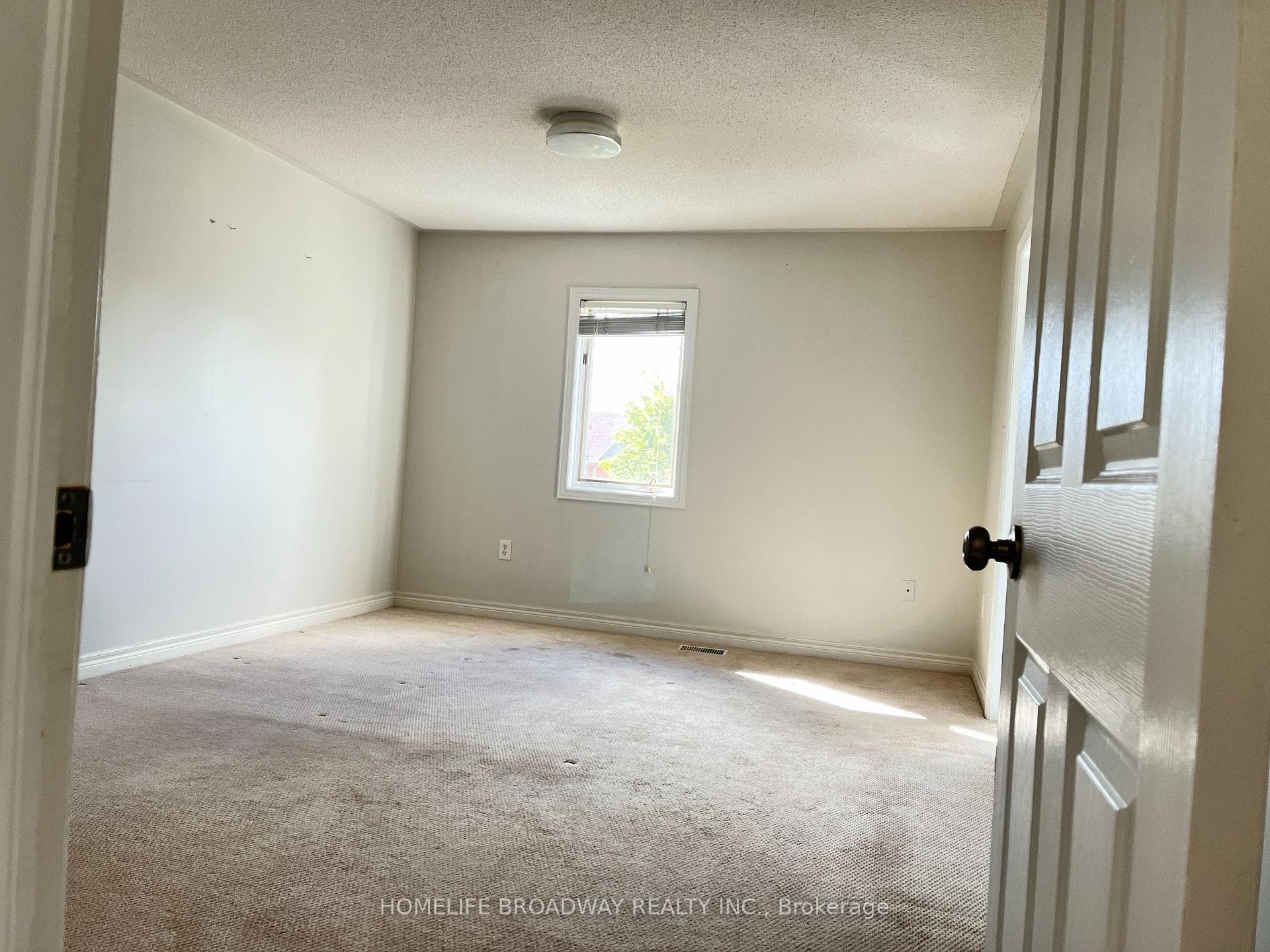 48 Widdifield Avenue photo 9