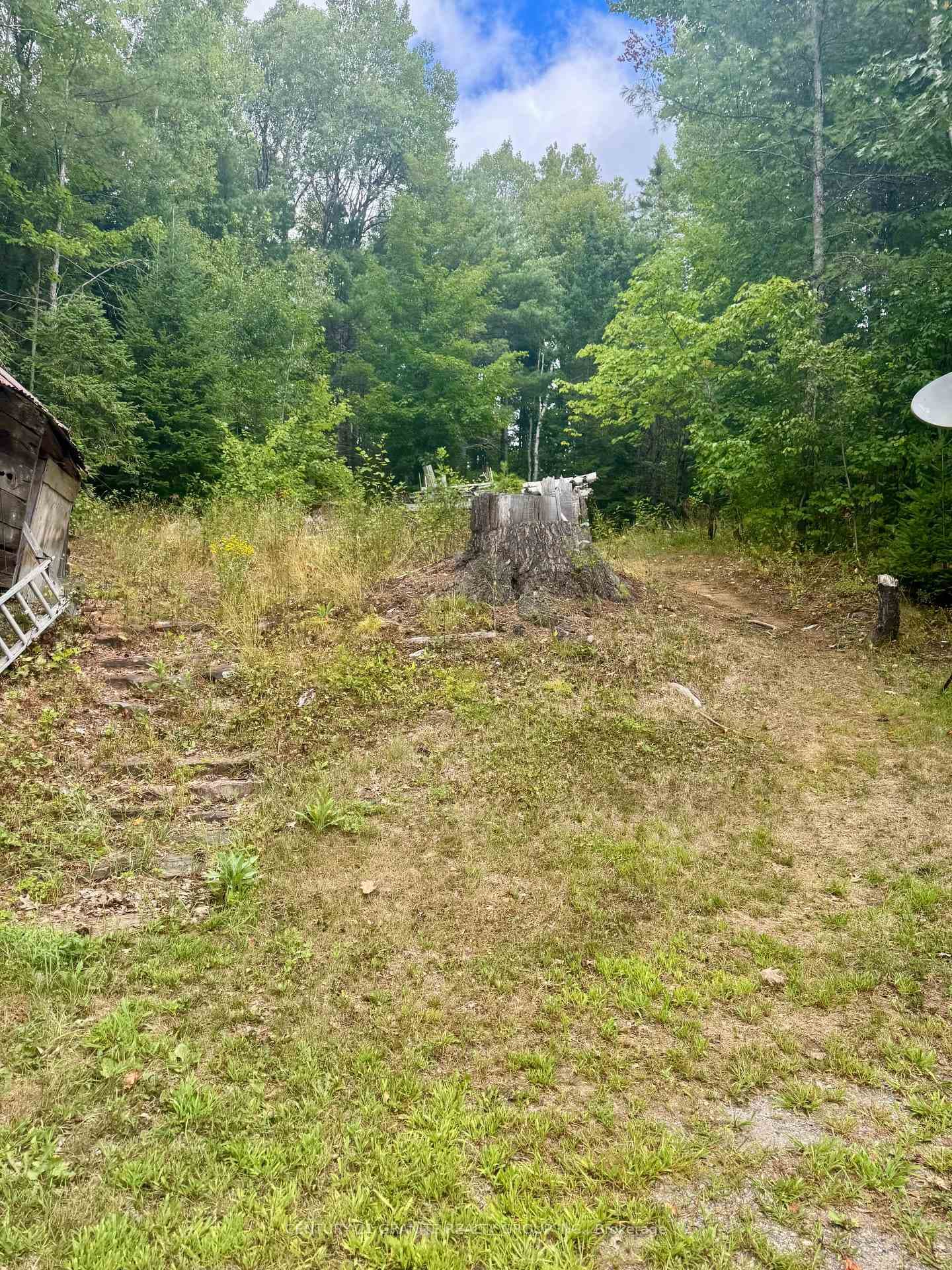 1641 Boulter Road photo 36