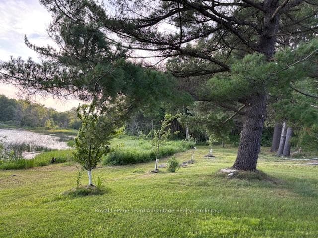 121 Rattlebear Drive photo 40