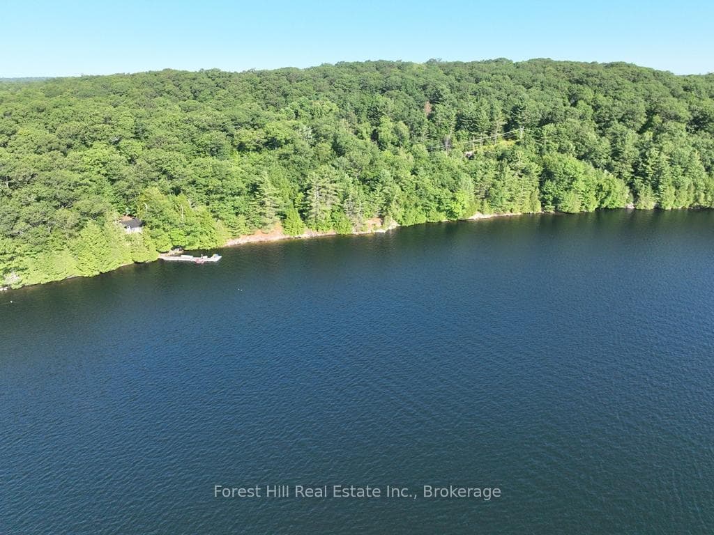 10689 Kawagama Lake WAO N/A photo 11