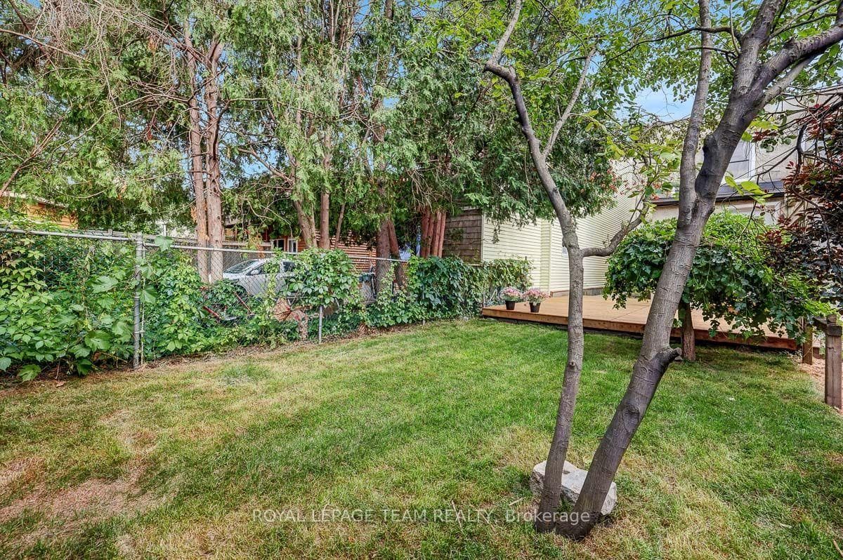Fence in backyard.