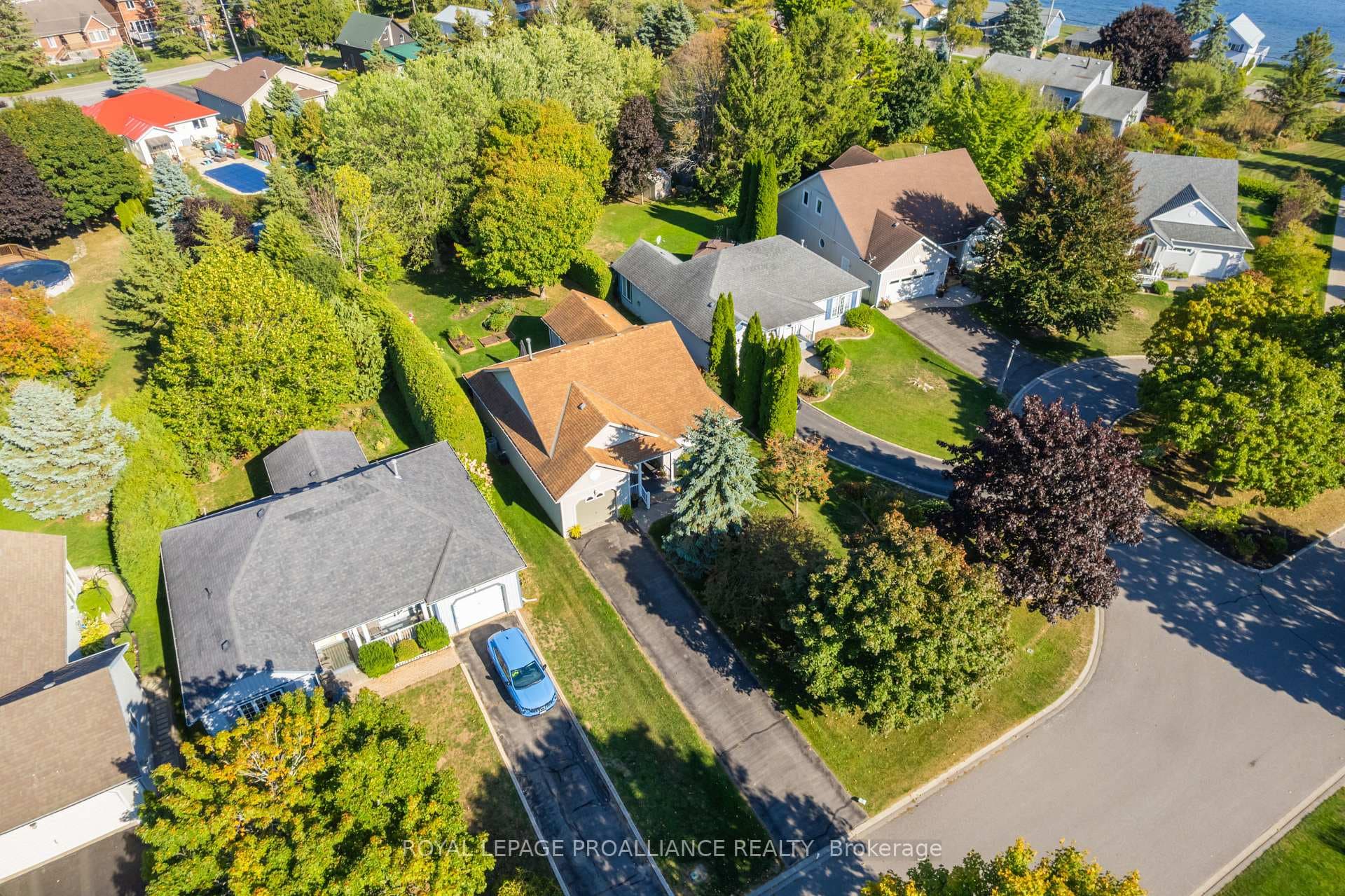 25 Mills Road photo 43
