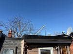 293 St Clarens Avenue photo 10