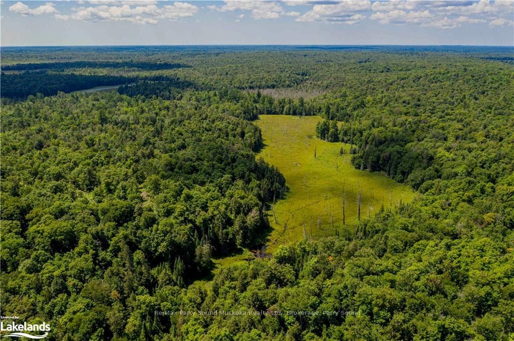 320 NELSON LAKE Road photo 9