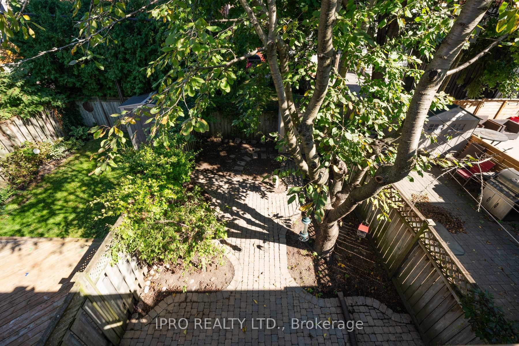 83 Muriel Avenue photo 34
