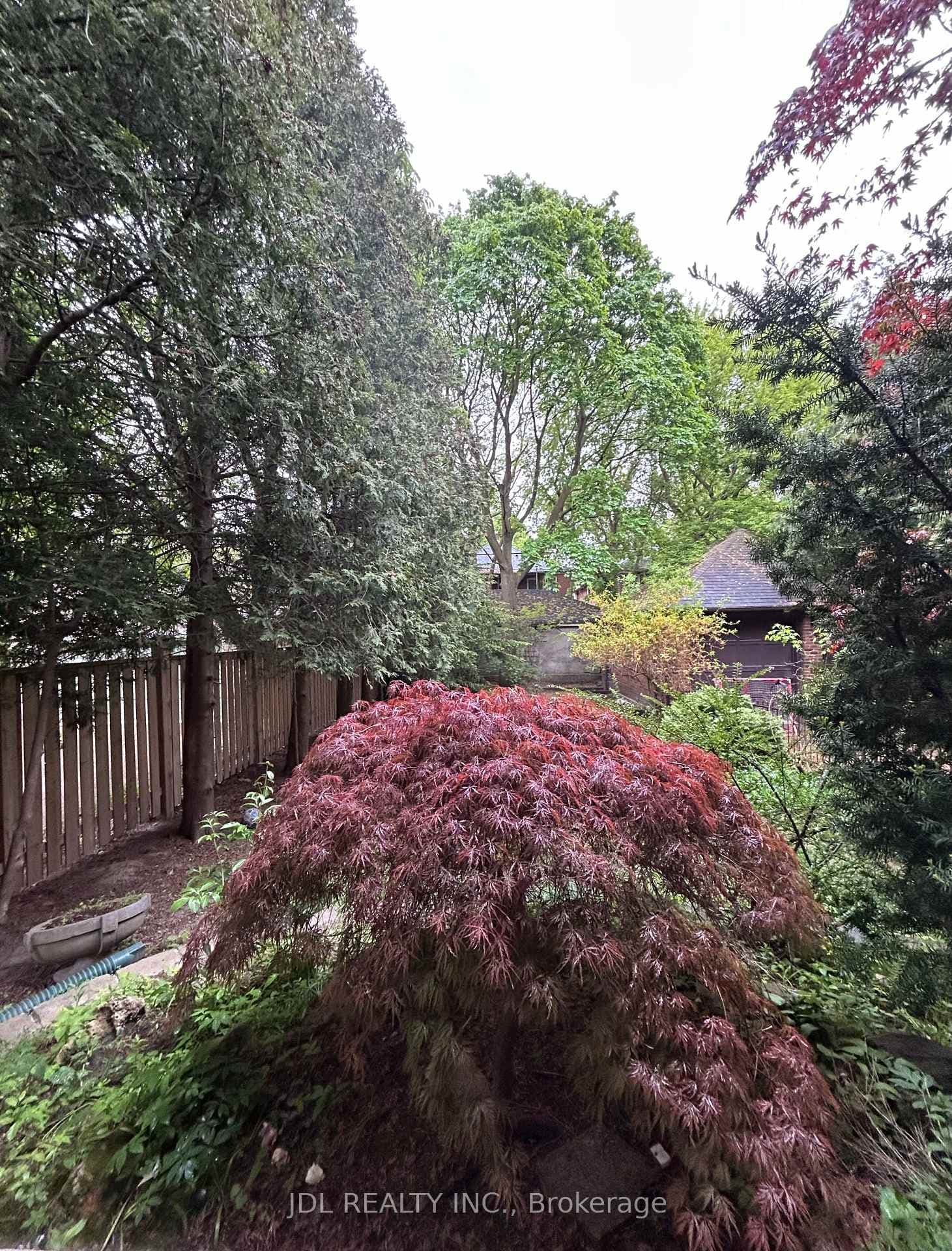 19 Glengrove Ave Avenue Unit Bsmt photo 5