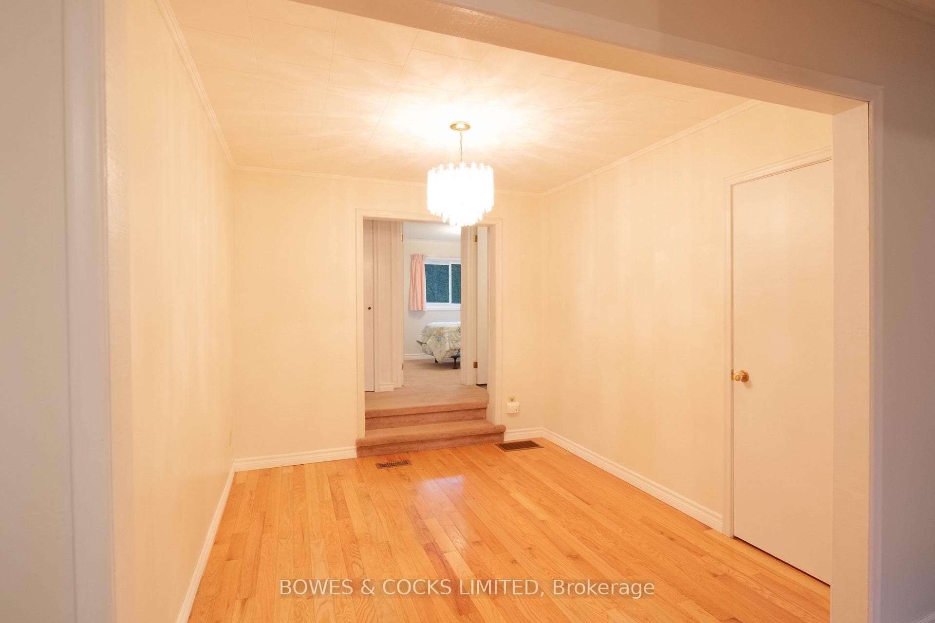 66 McFadden Road photo 19