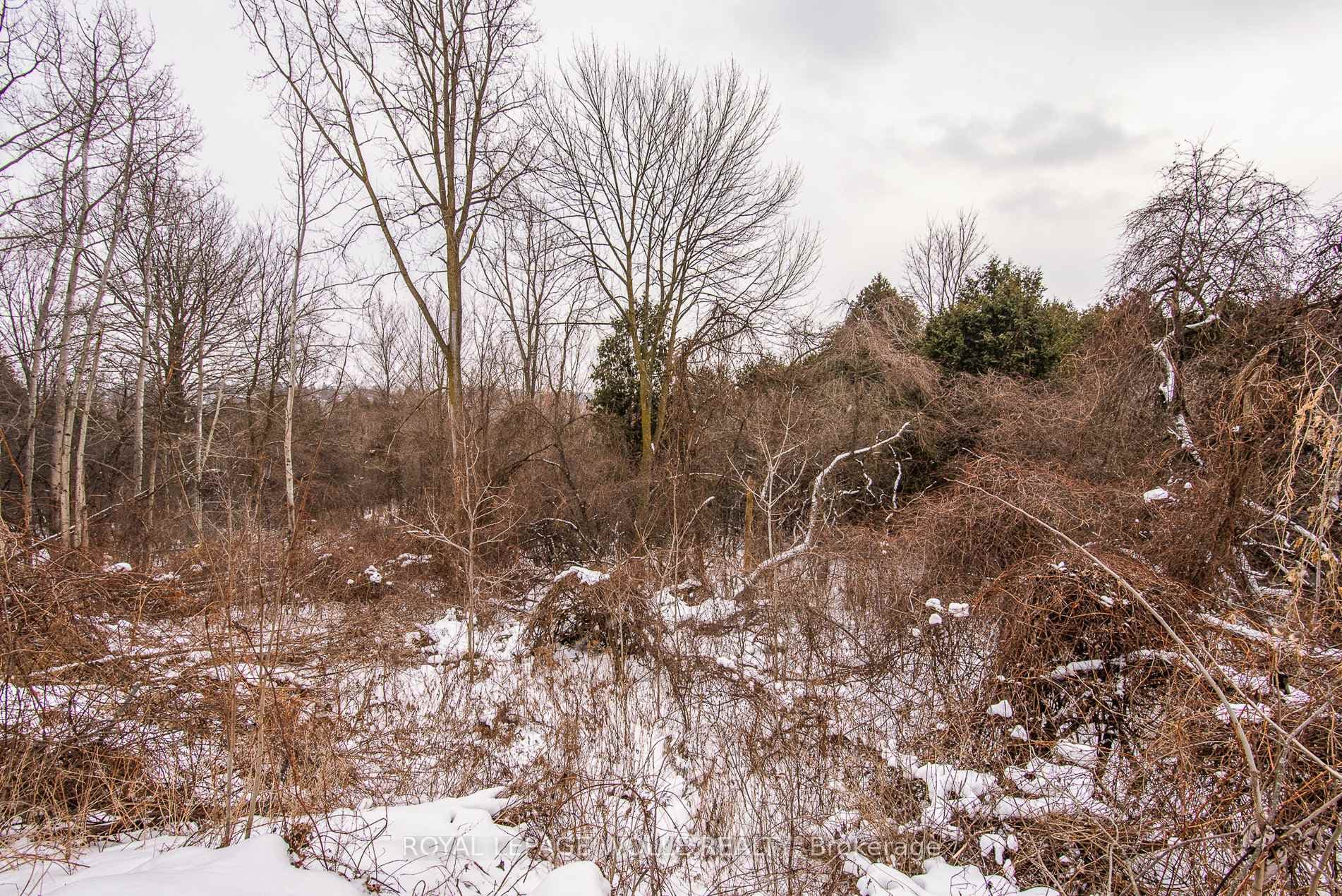 60 Hahn Avenue photo 37