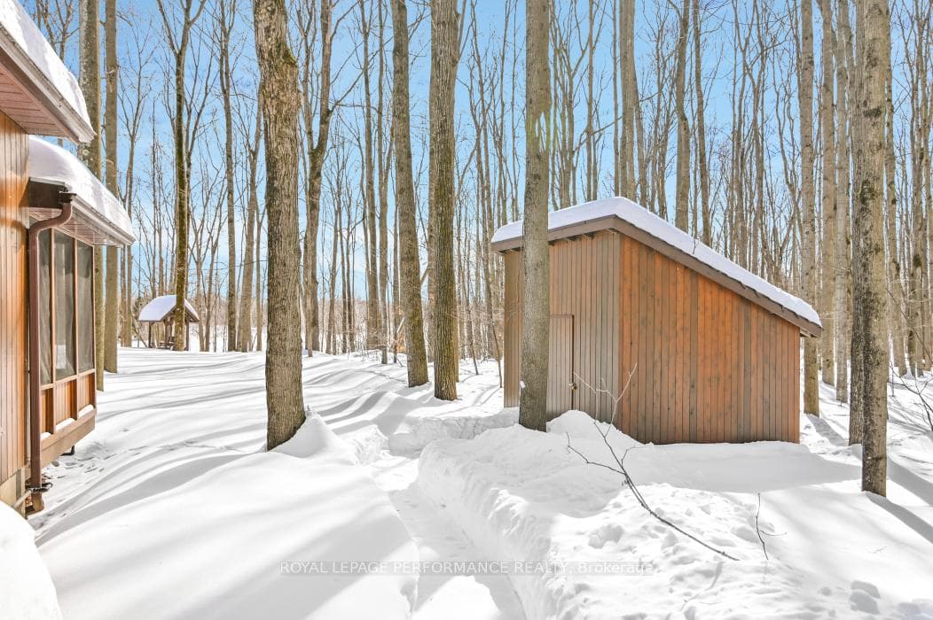 Storage Shed
