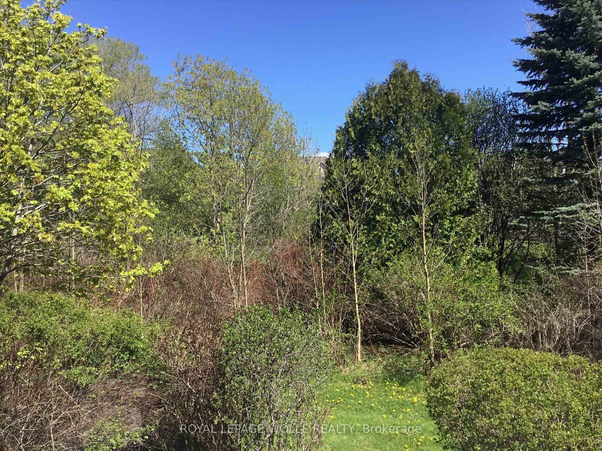496 Beechwood Drive Unit 1 photo 44