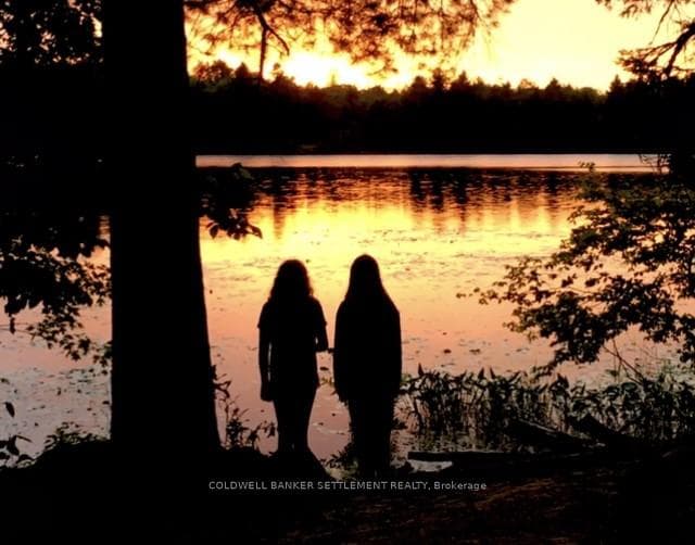 Mermaids in the sunset