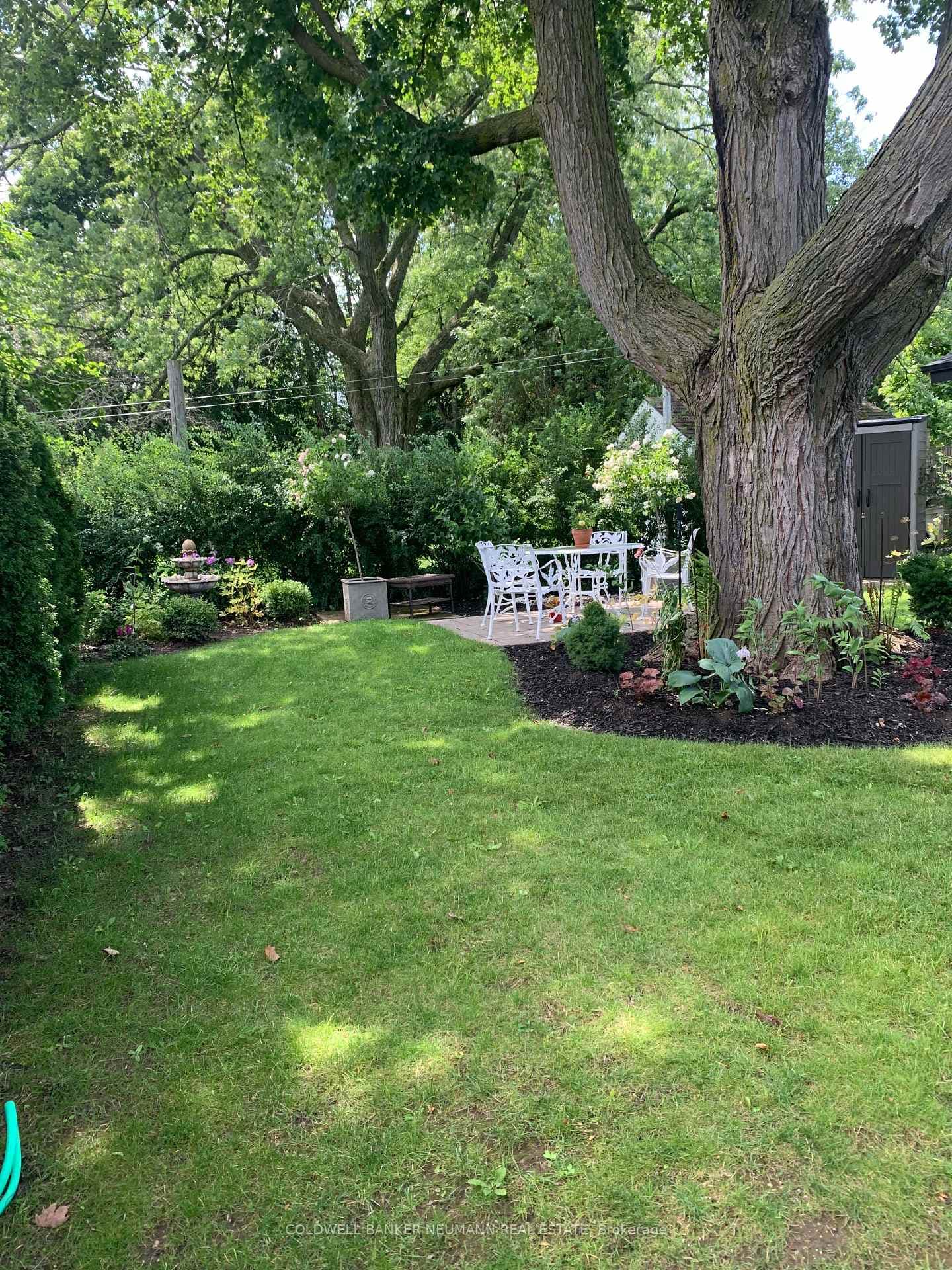 14 Laurine Avenue photo 34
