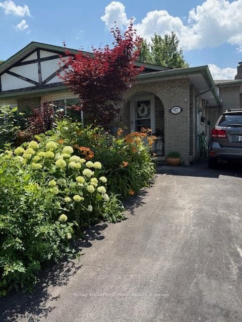 97 Guildwood Drive photo 4
