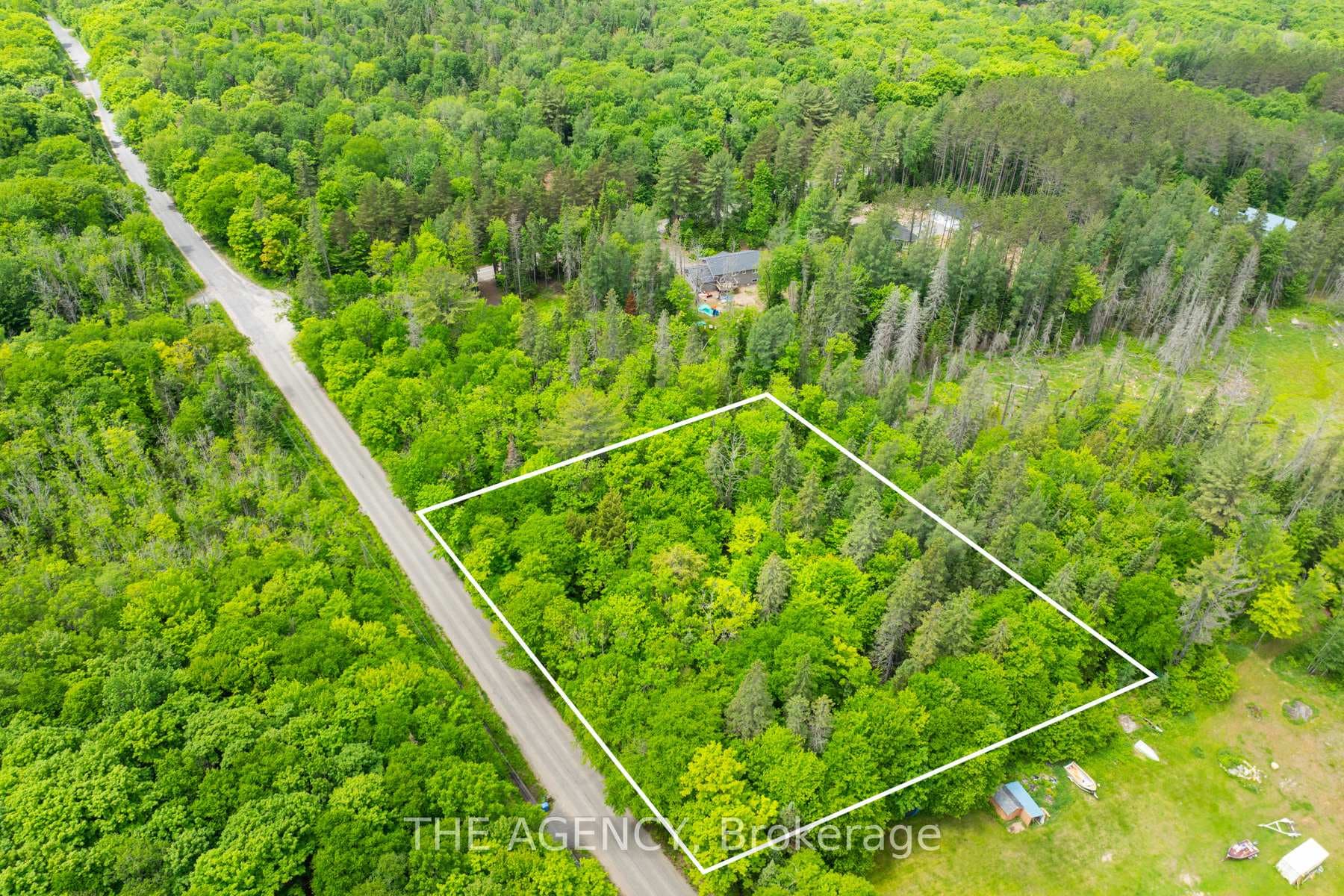 1233 Harp Lake Road photo 12