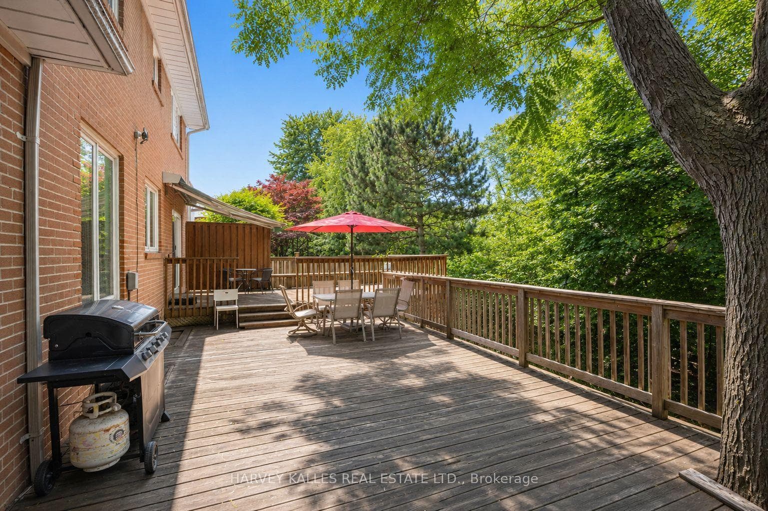 12 Longhope Place photo 32