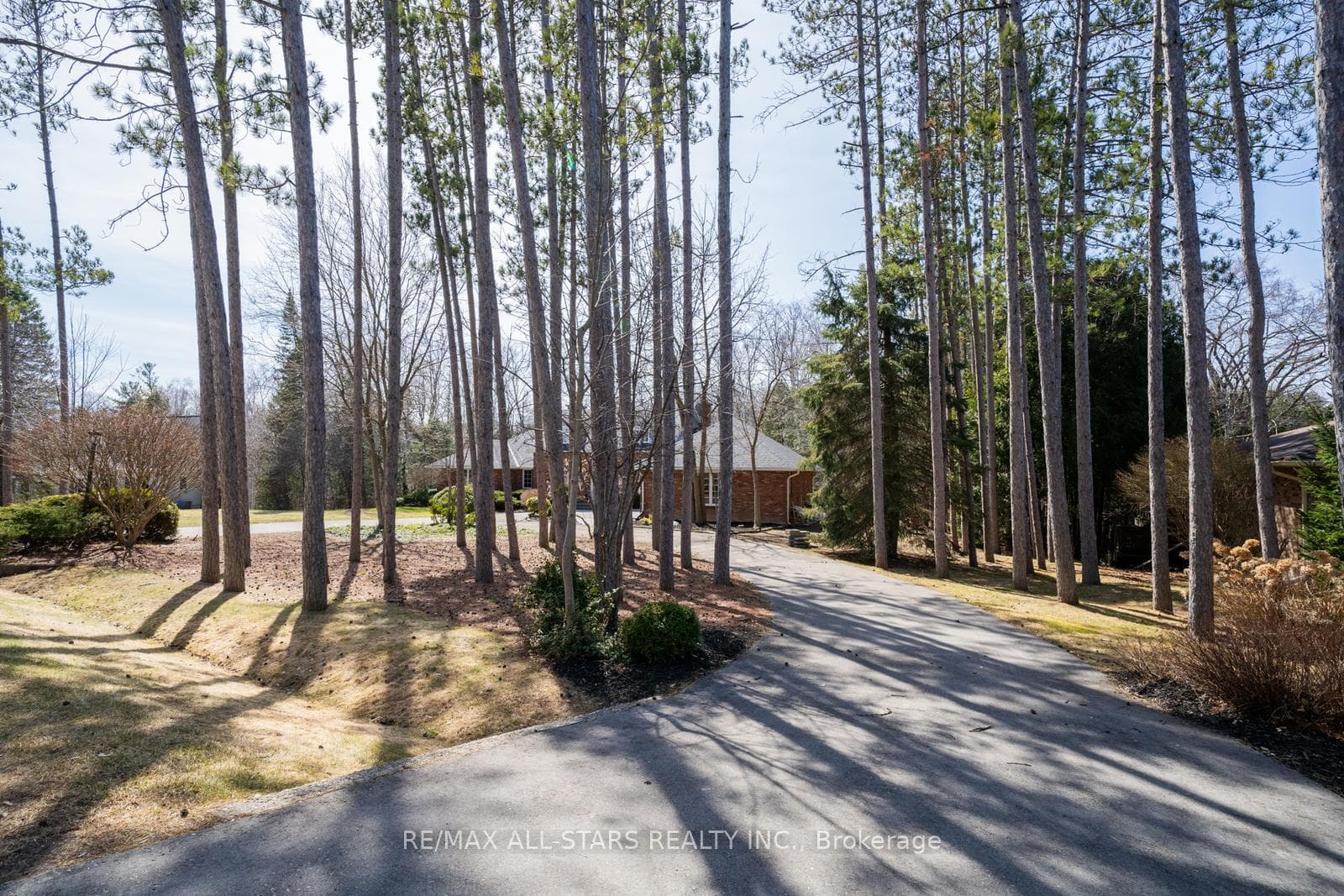 6 Sawmill Lane photo 2