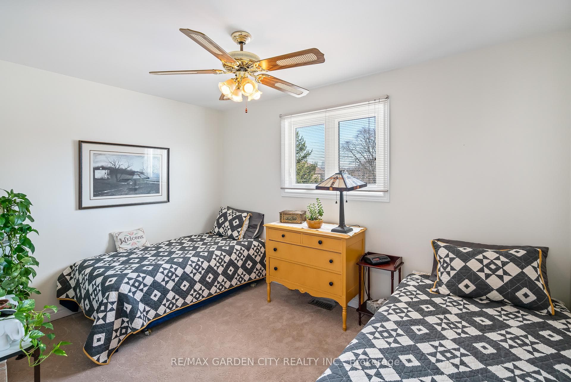34 Ramsey Street photo 23