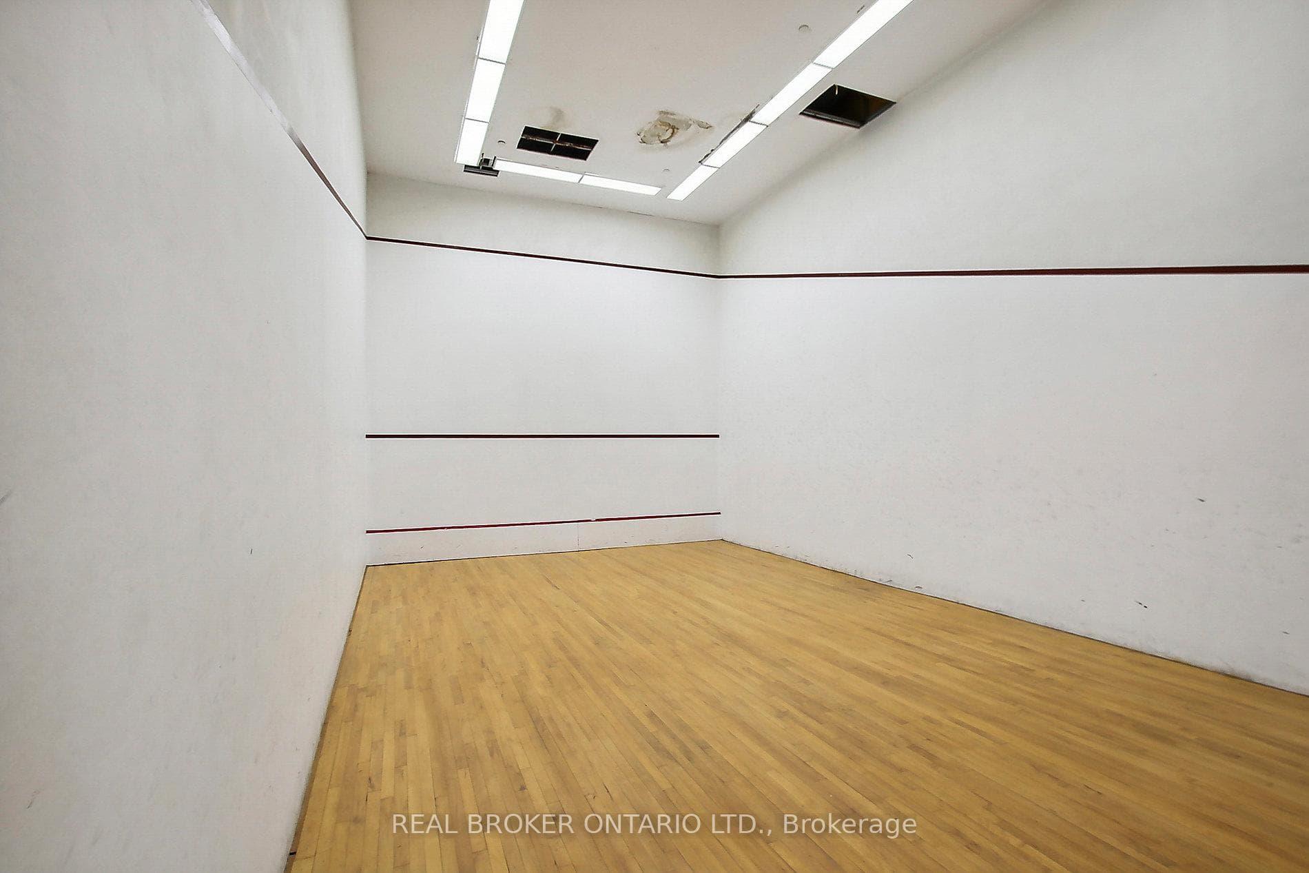 Squash