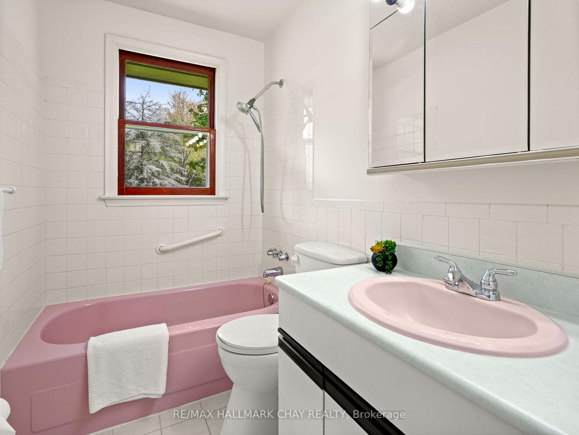 20393 Yonge Street photo 15