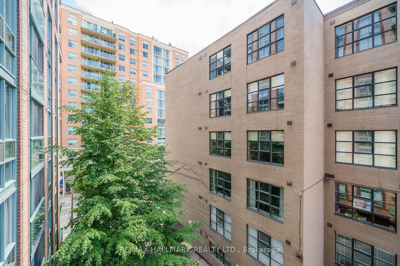 311 Richmond Street Unit 501 photo 8