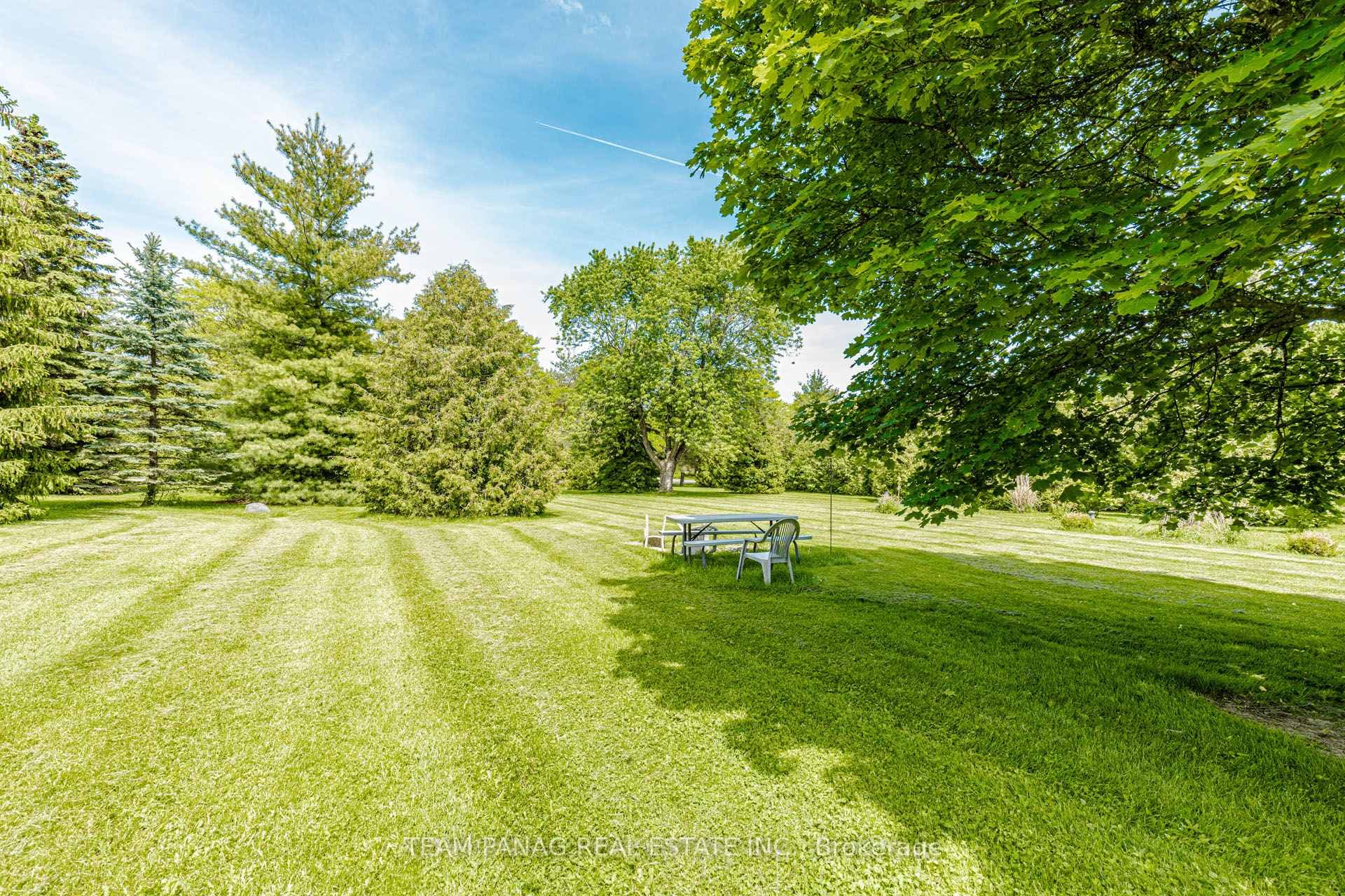 6 Forestbrook Court photo 16