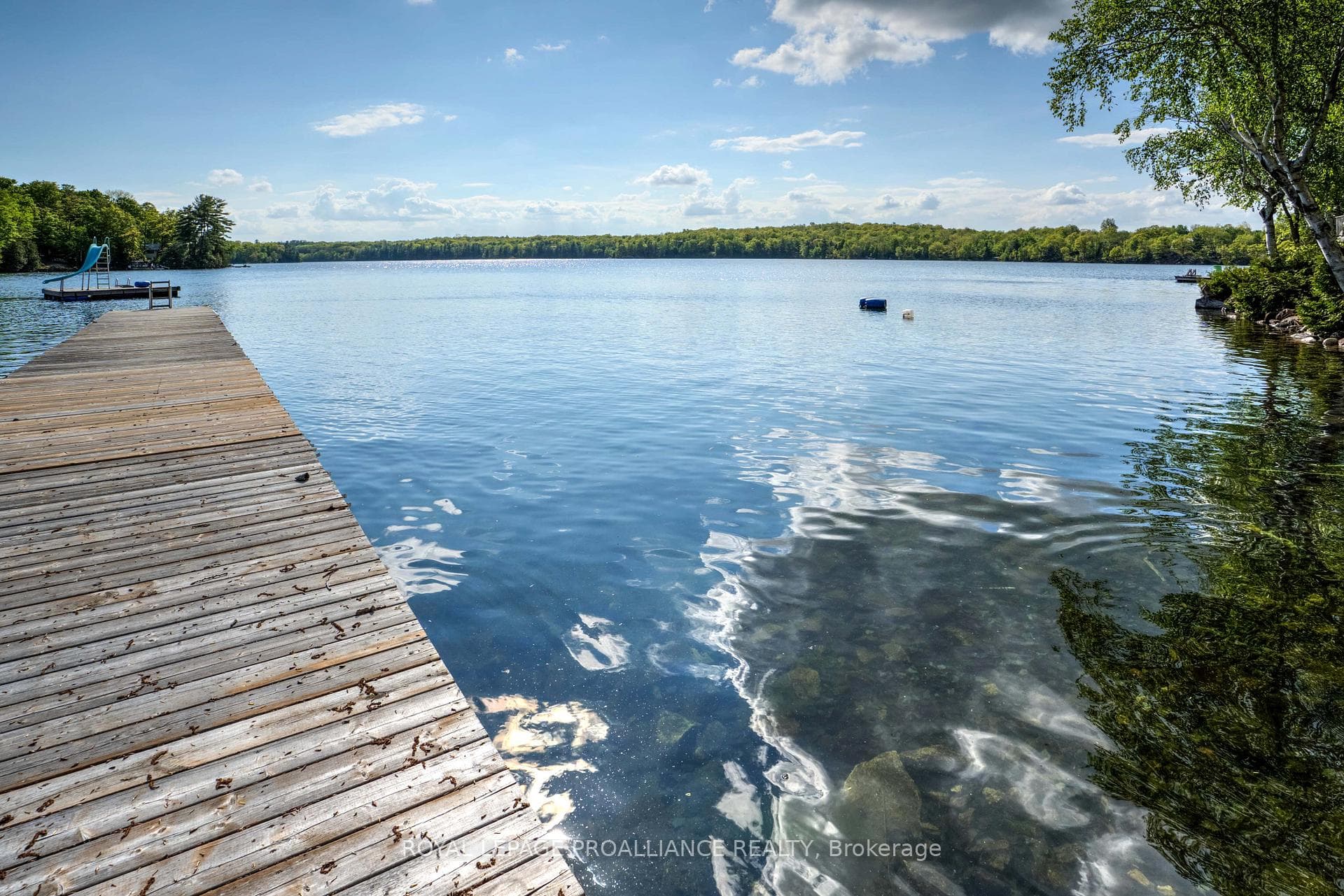 21A Mallard Lane photo 19