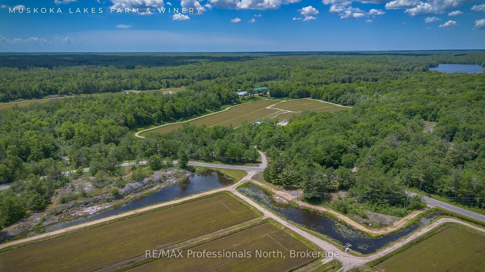 1219 MEDORA LAKE Road photo 38