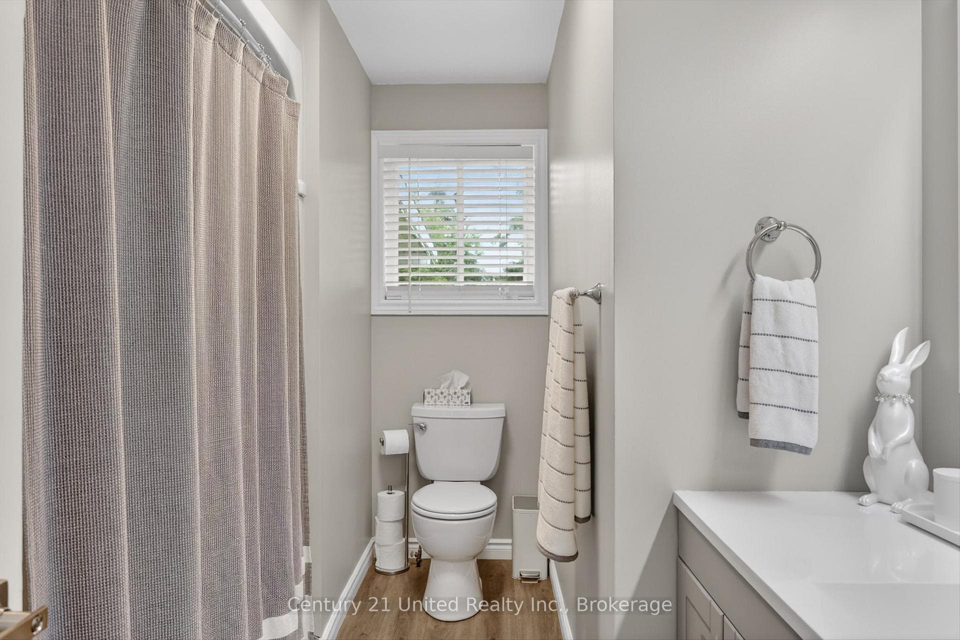 12 Emily Court photo 24