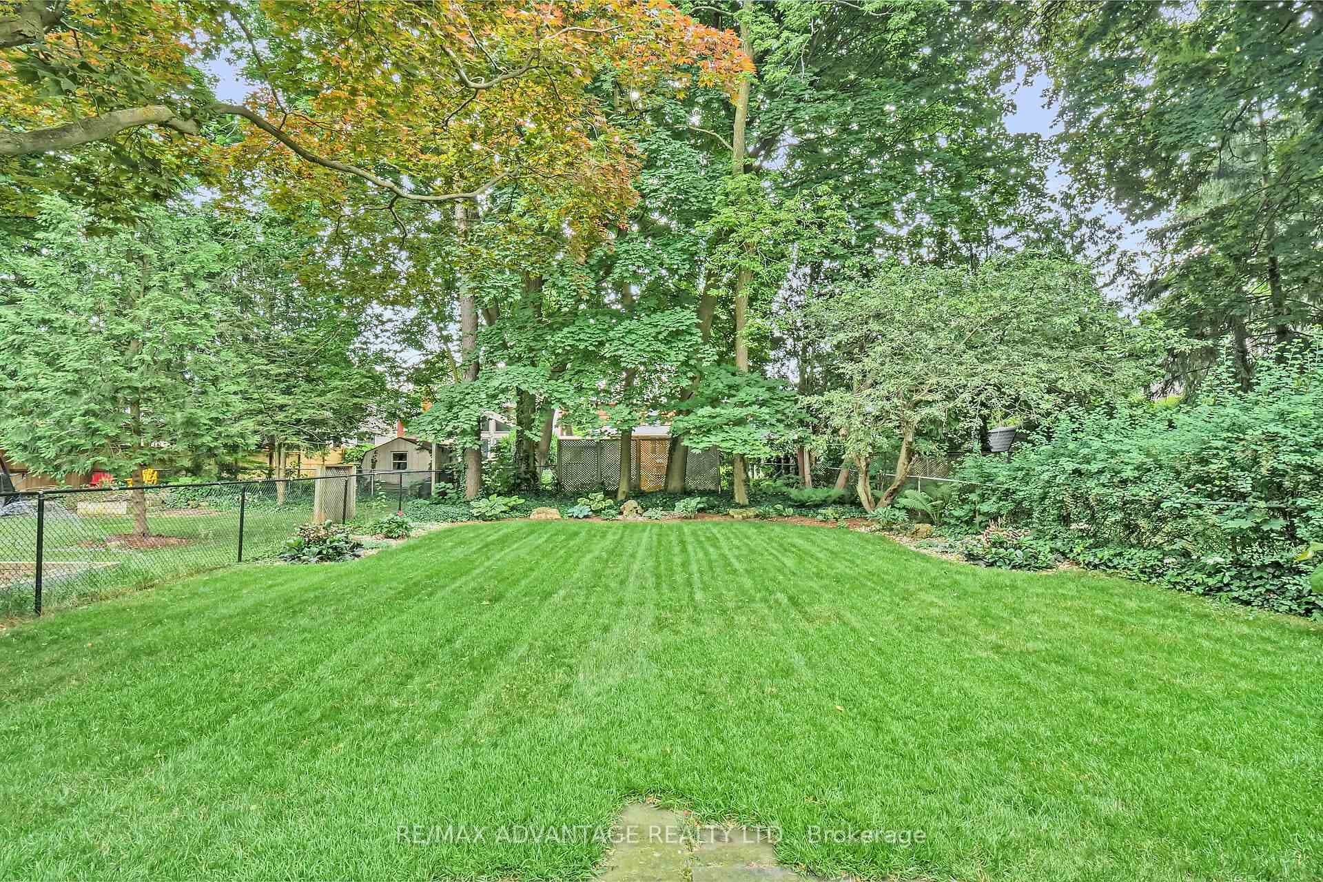 11 Chalmers Street photo 10