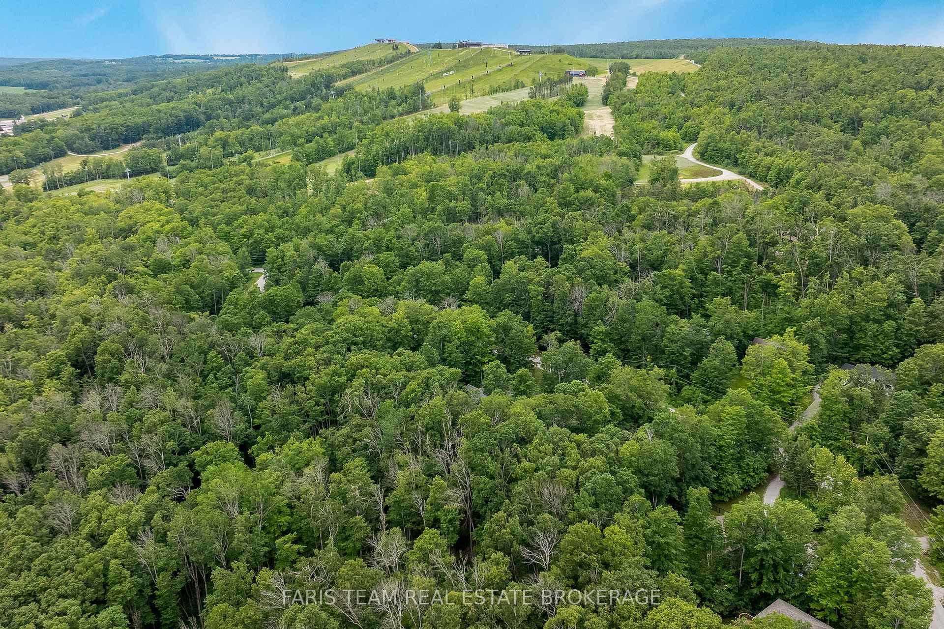 11 Snowshoe Trail photo 50