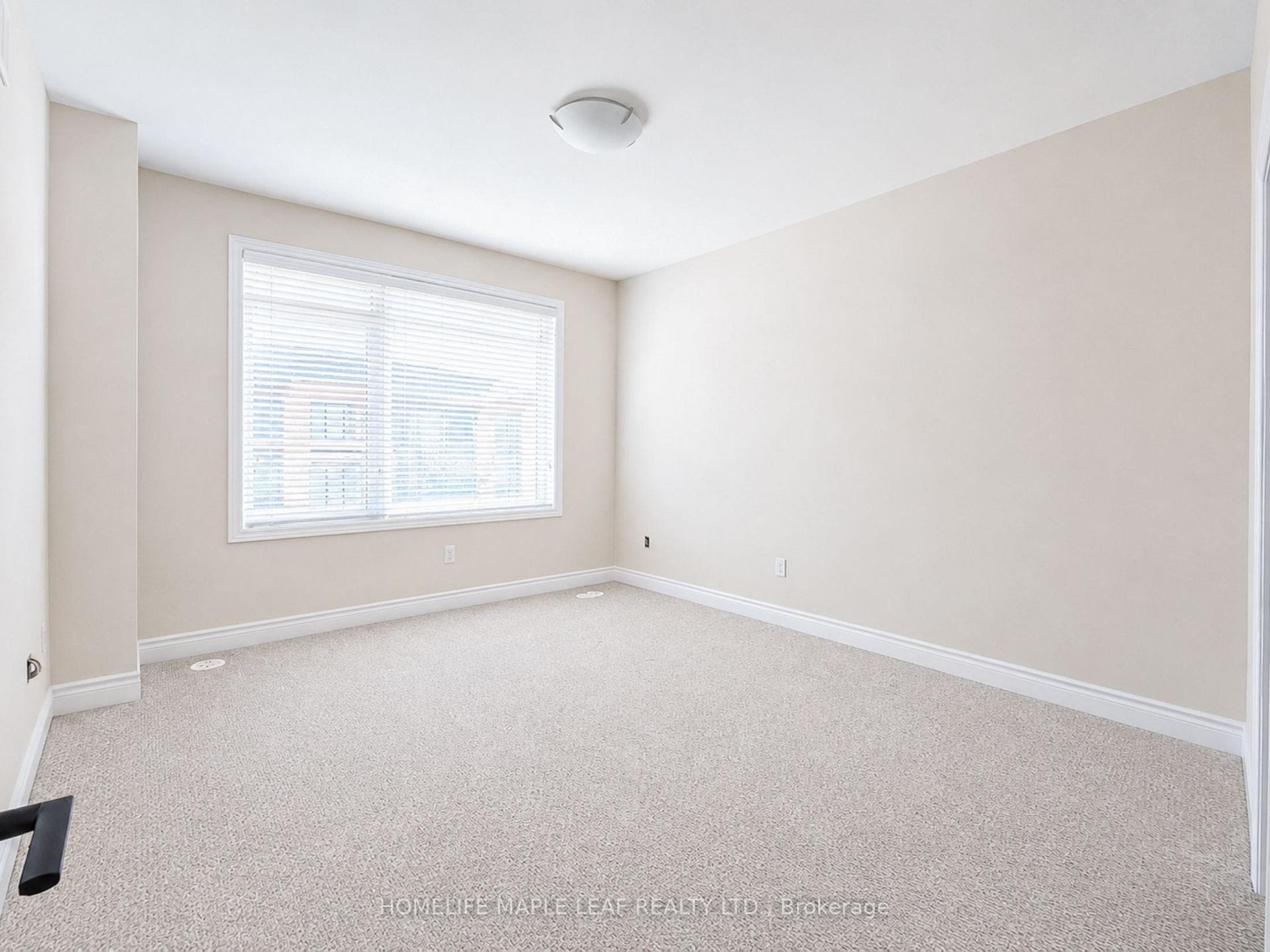11 Aylin Crescent photo 23