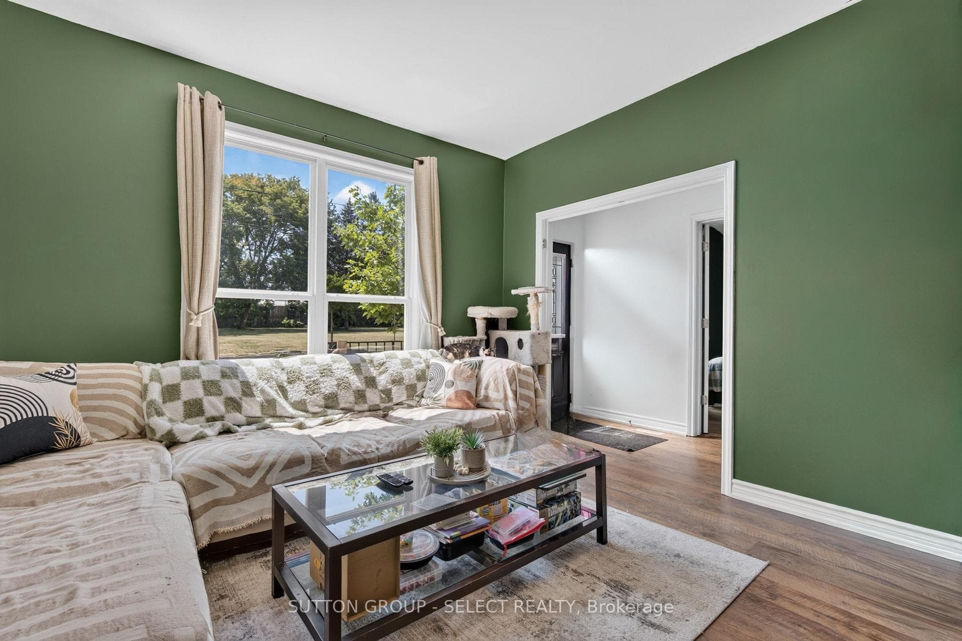 174 Clarence Street photo 6