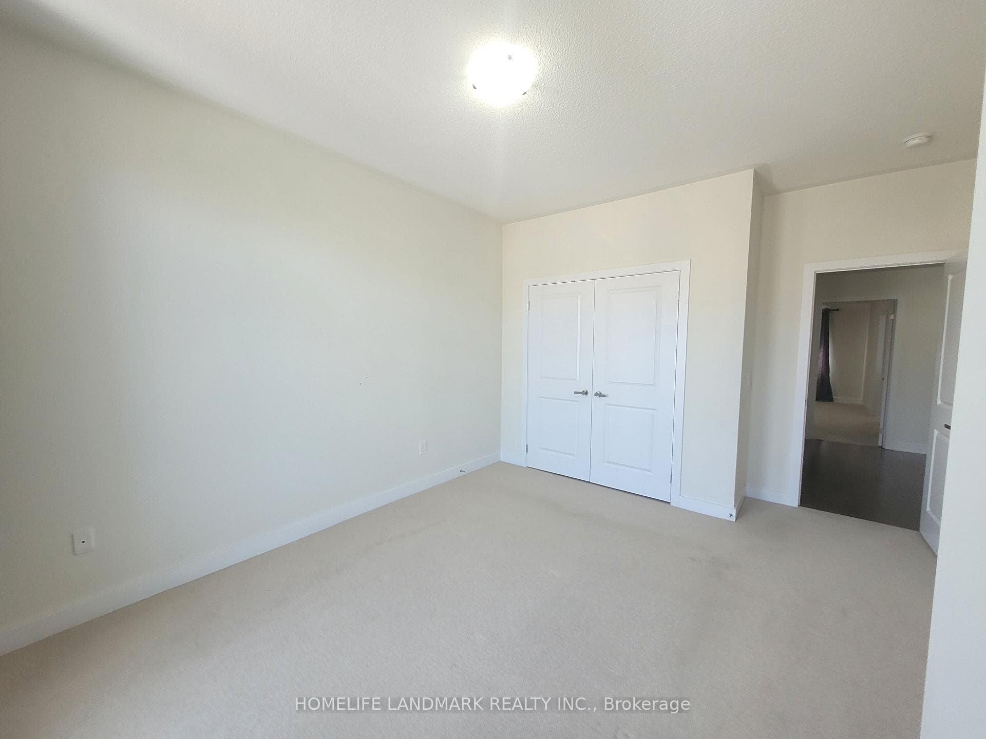 62 Anchusa Drive photo 14