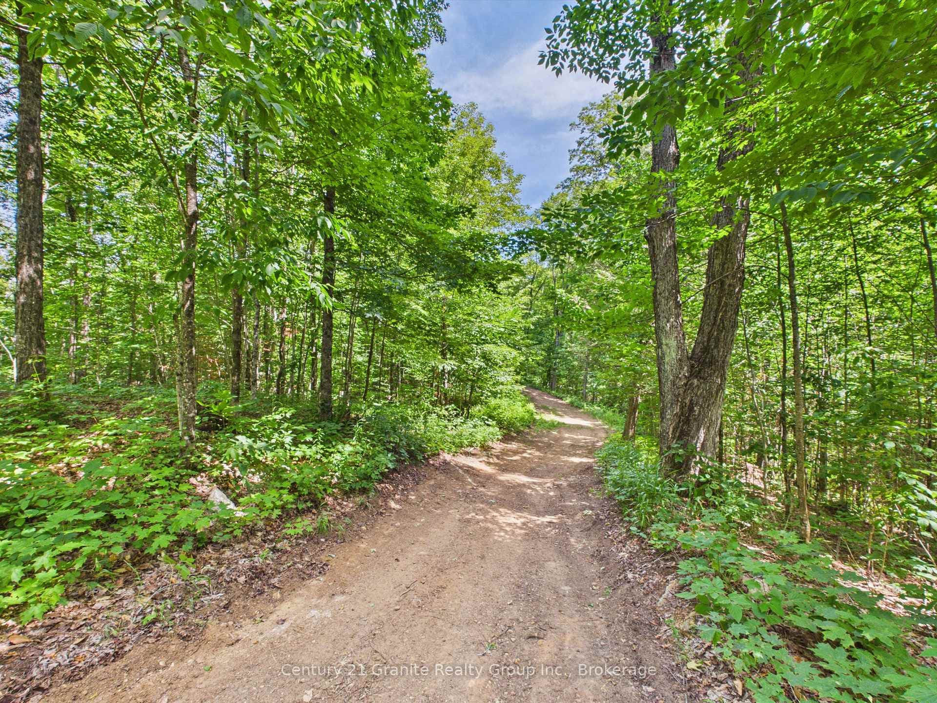 1230 Old Donald Road photo 7