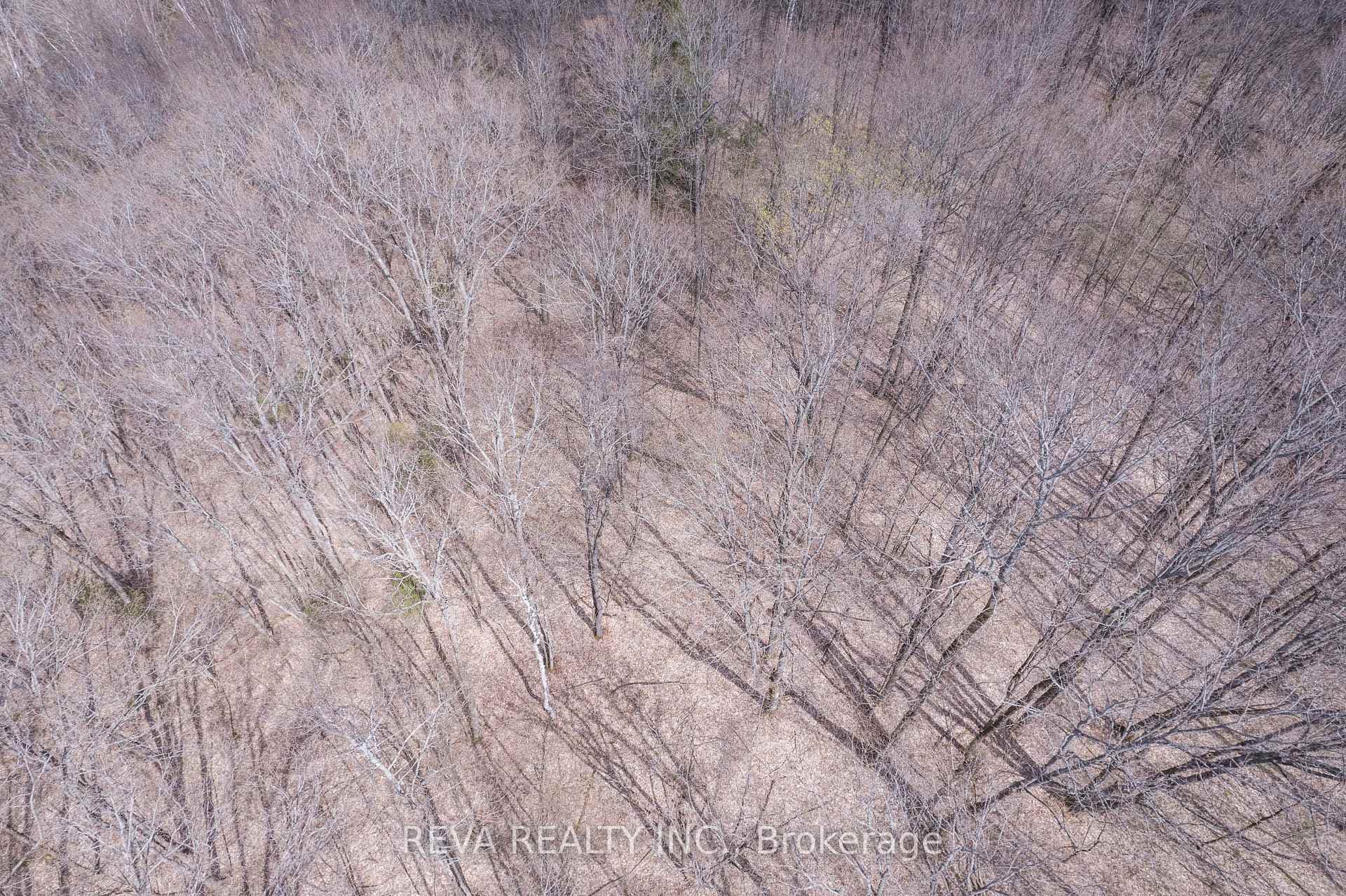 65 Ray Road photo 27