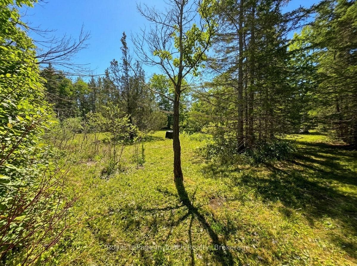 View of Lot from Lot Perimeter