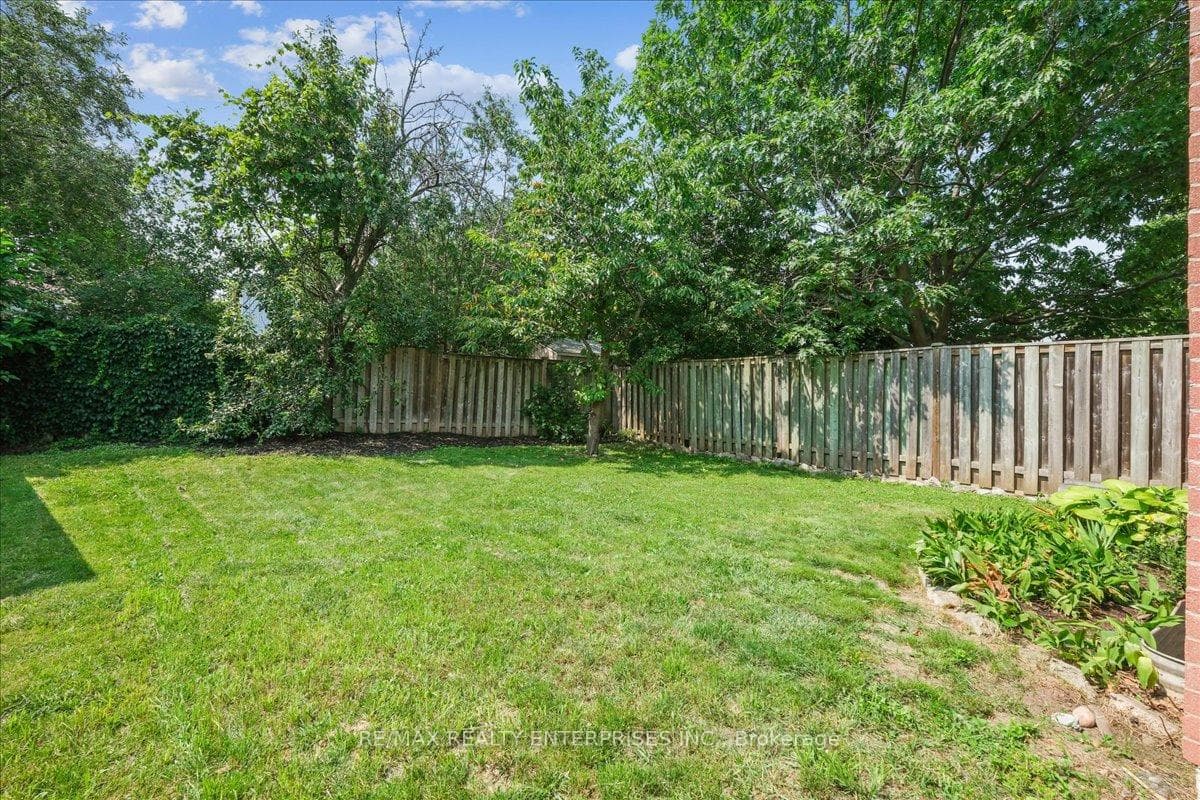 Large beautiful yard