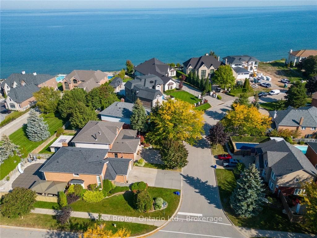 Aerial of the Neighbourhood