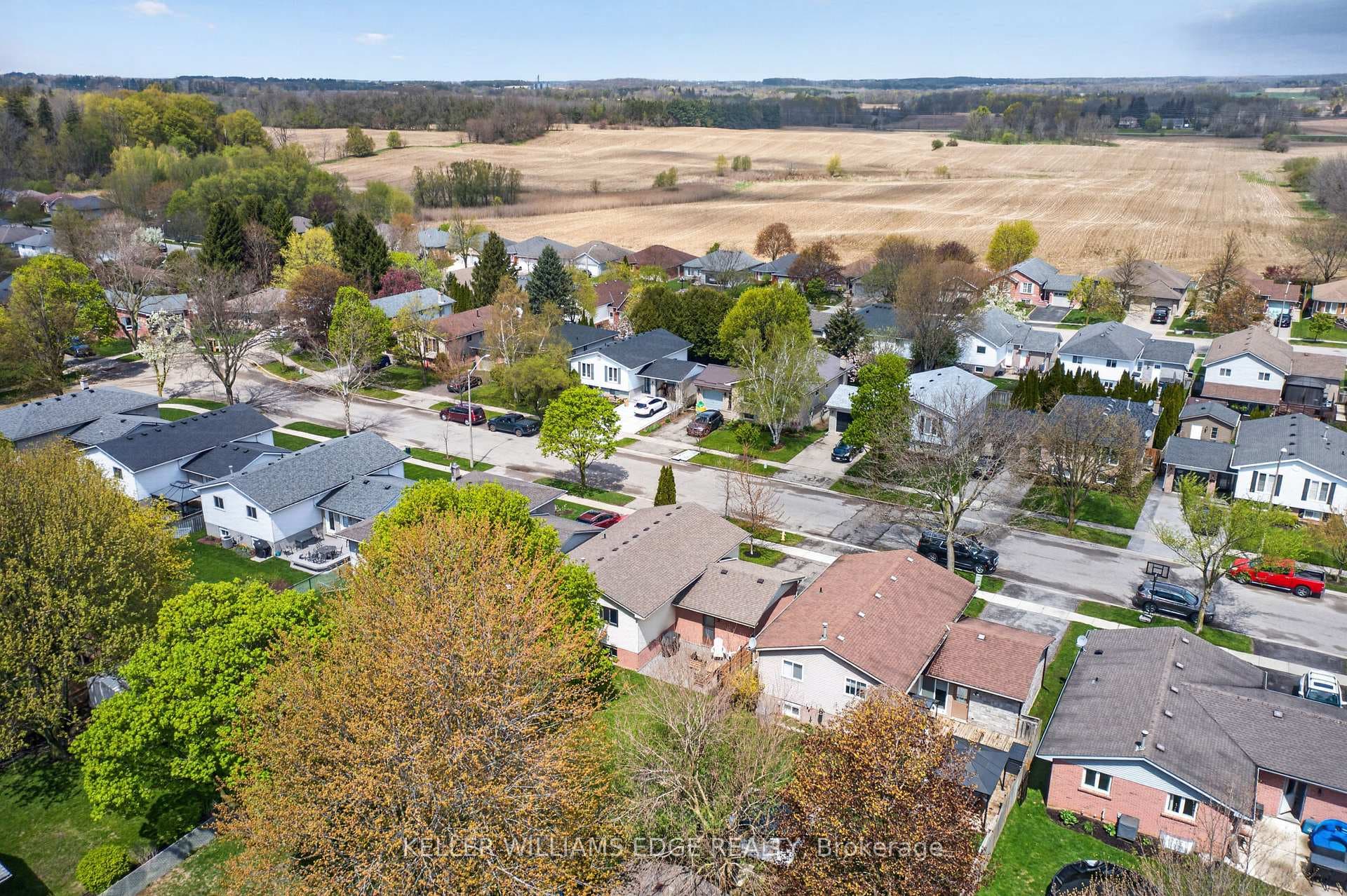 52 Latzer Crescent photo 46