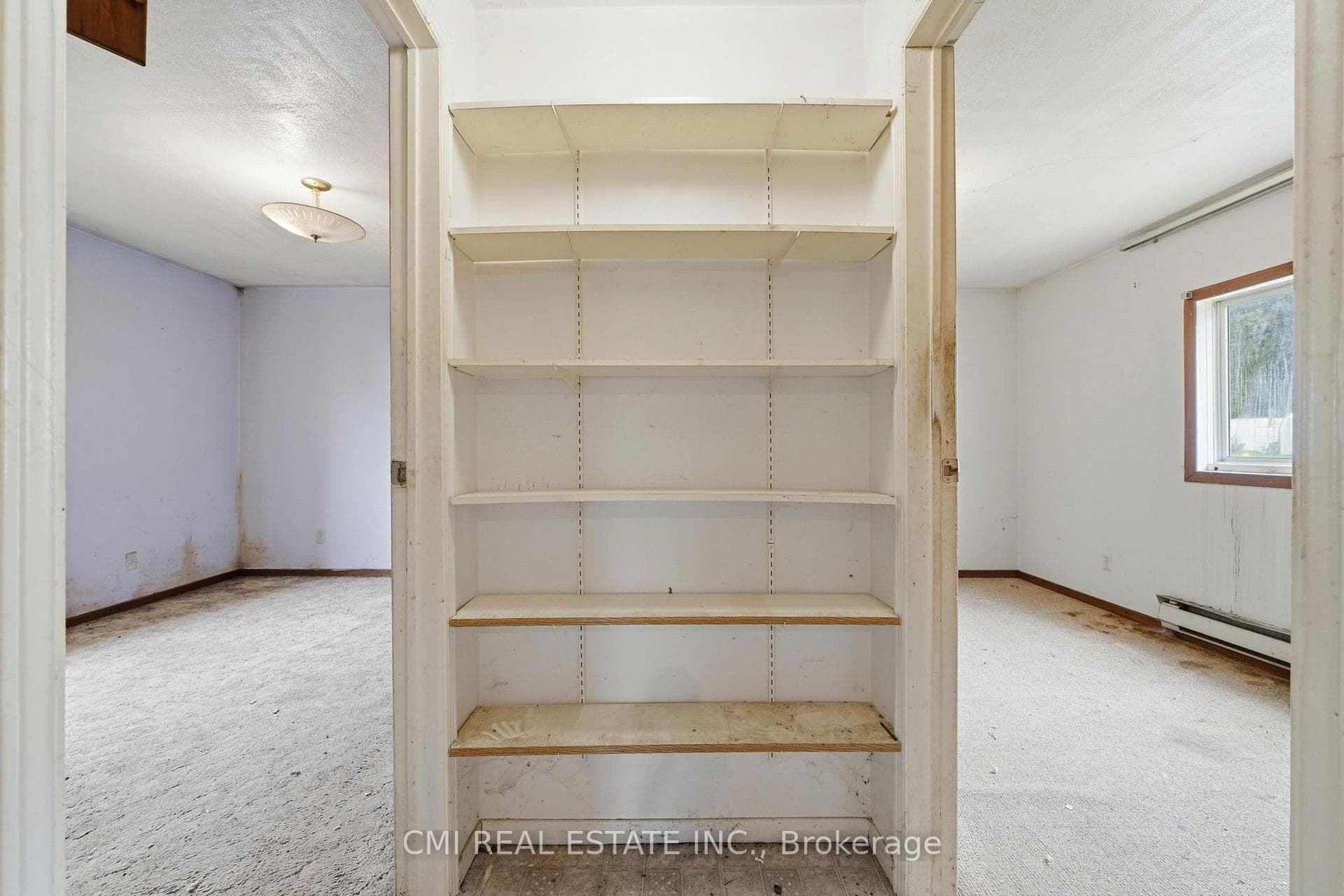 117 Fox Street photo 27