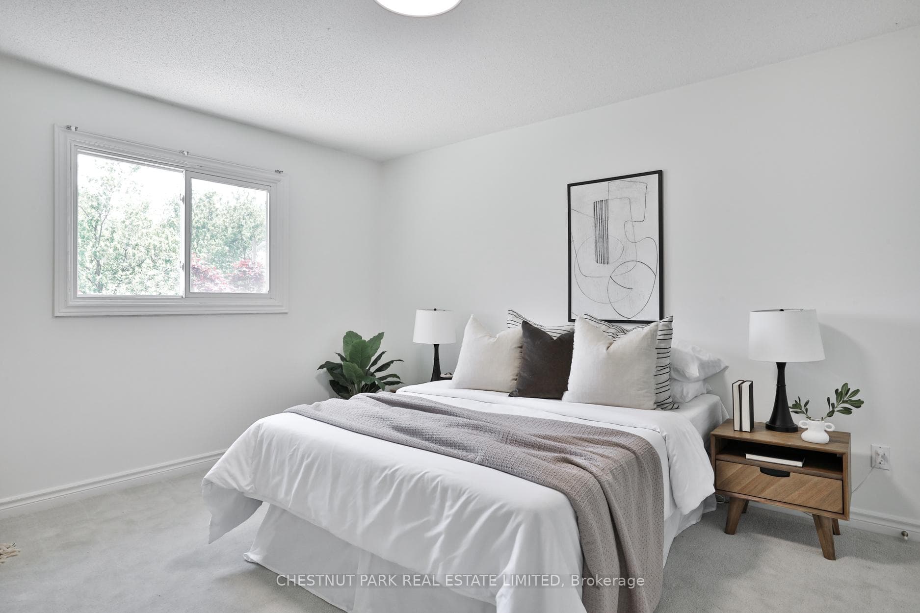 20 Lilley Court photo 26