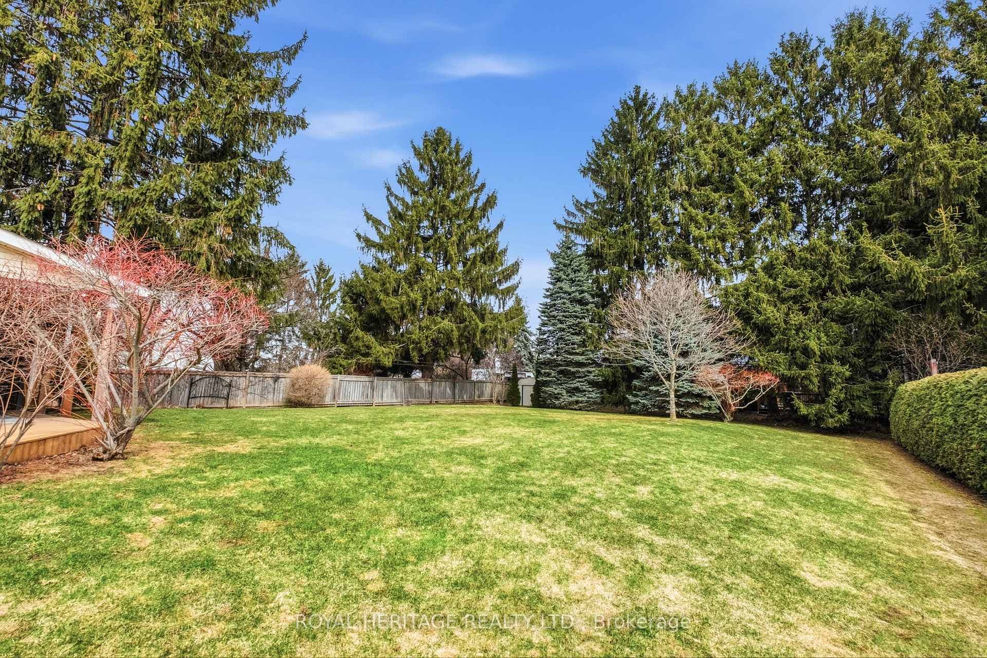 3 Rose Glen Road photo 35