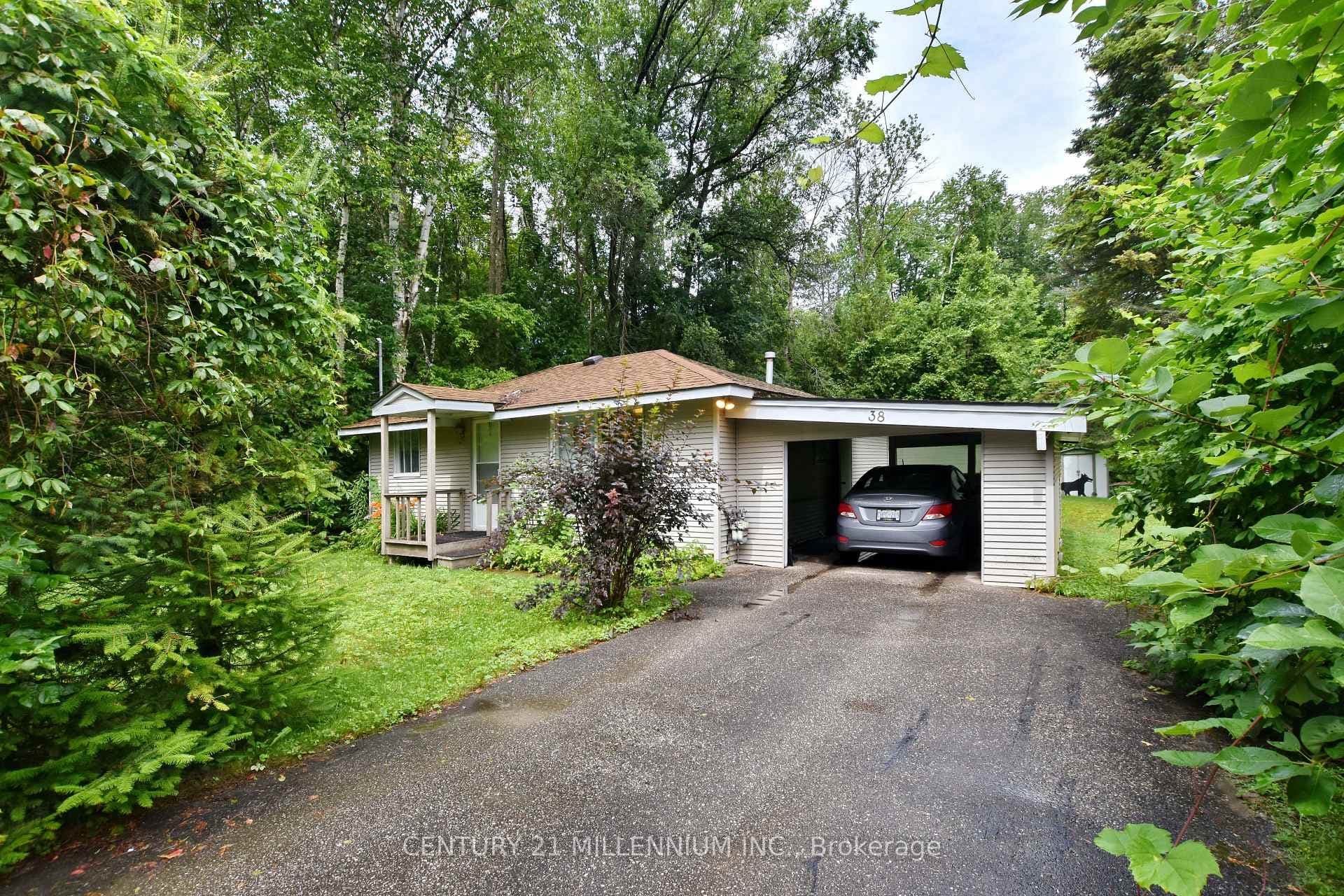 38 Pinecrest Avenue photo 4