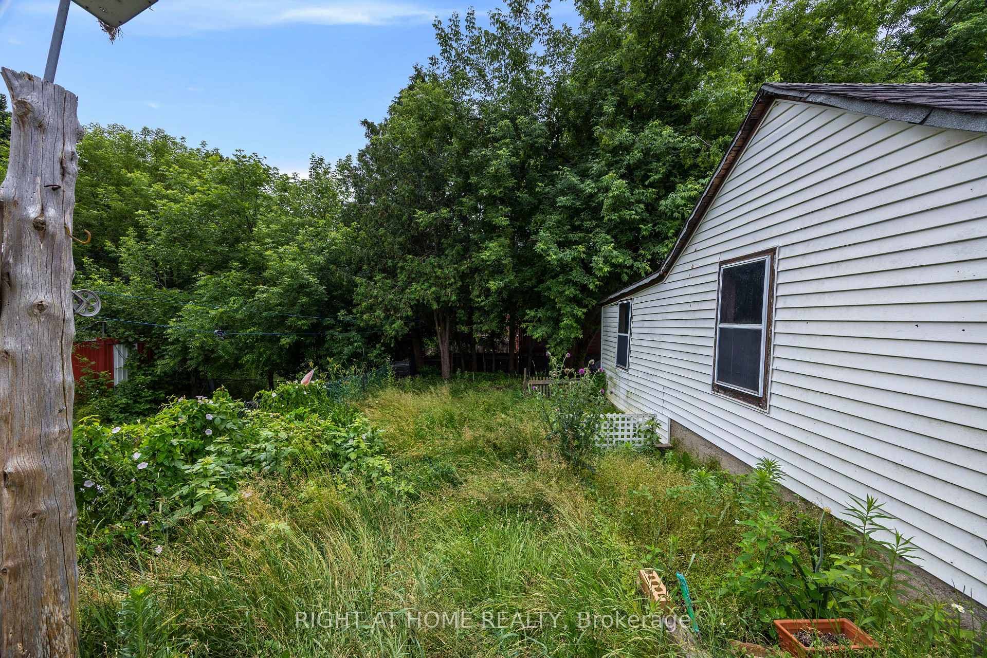 221 Samuelson Street photo 37