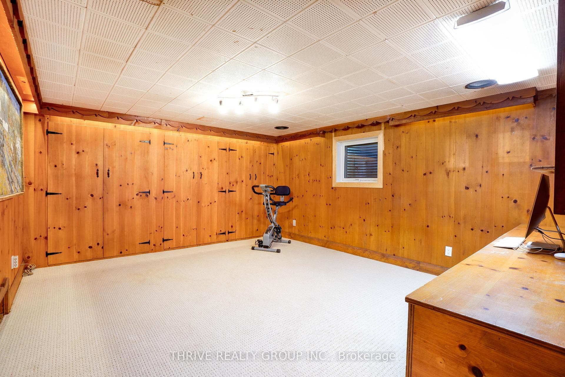 Lower Bedroom/Flex Space with Egress Window